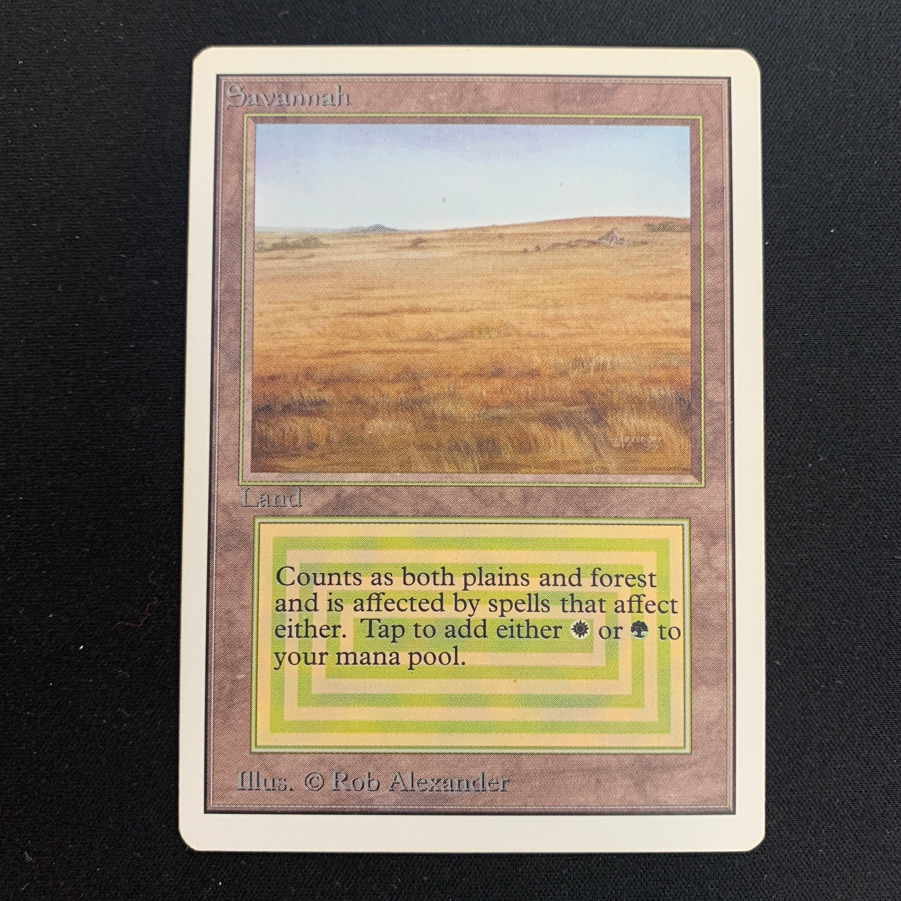 MTG Singles - Savannah - Unlimited -