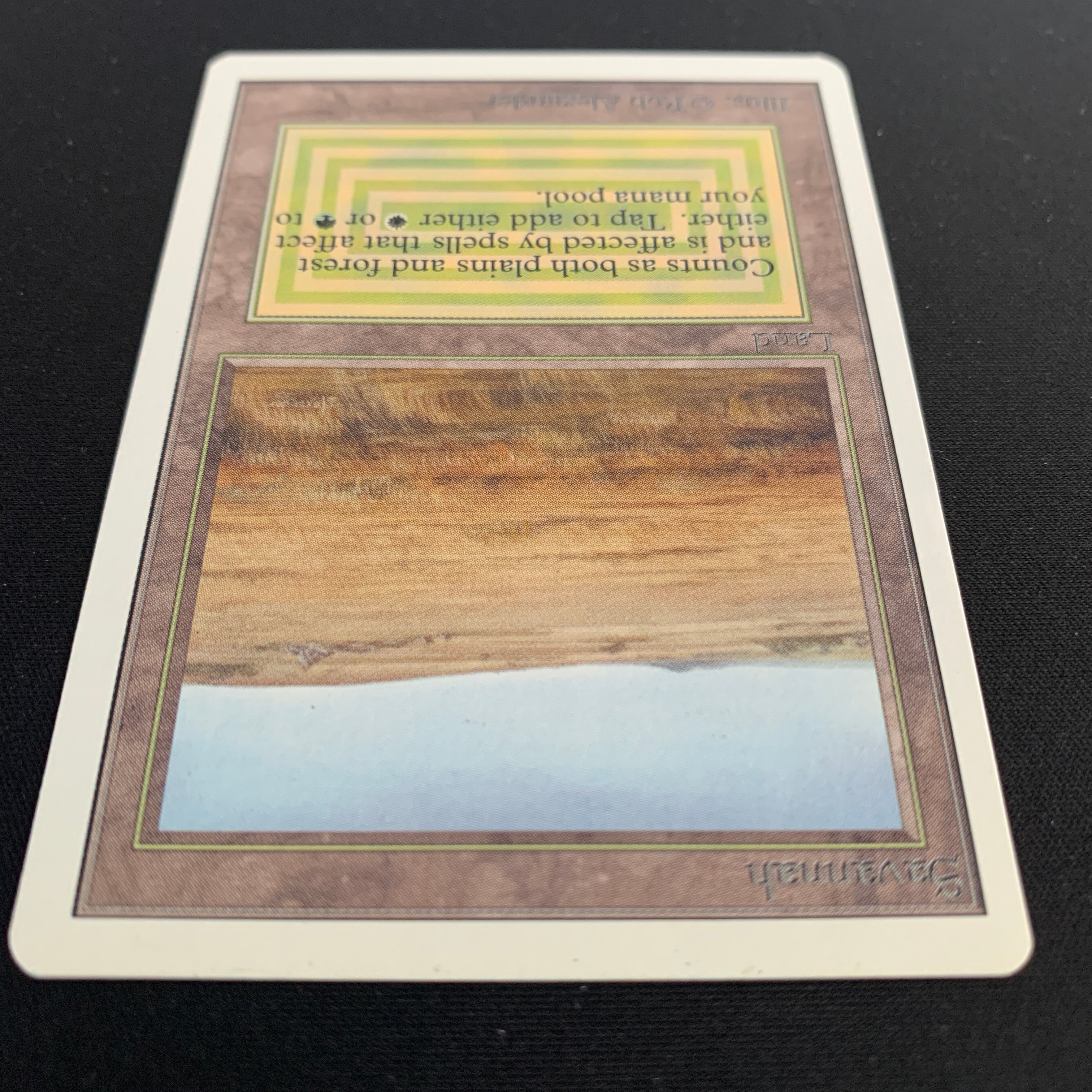 MTG Singles - Savannah - Unlimited -