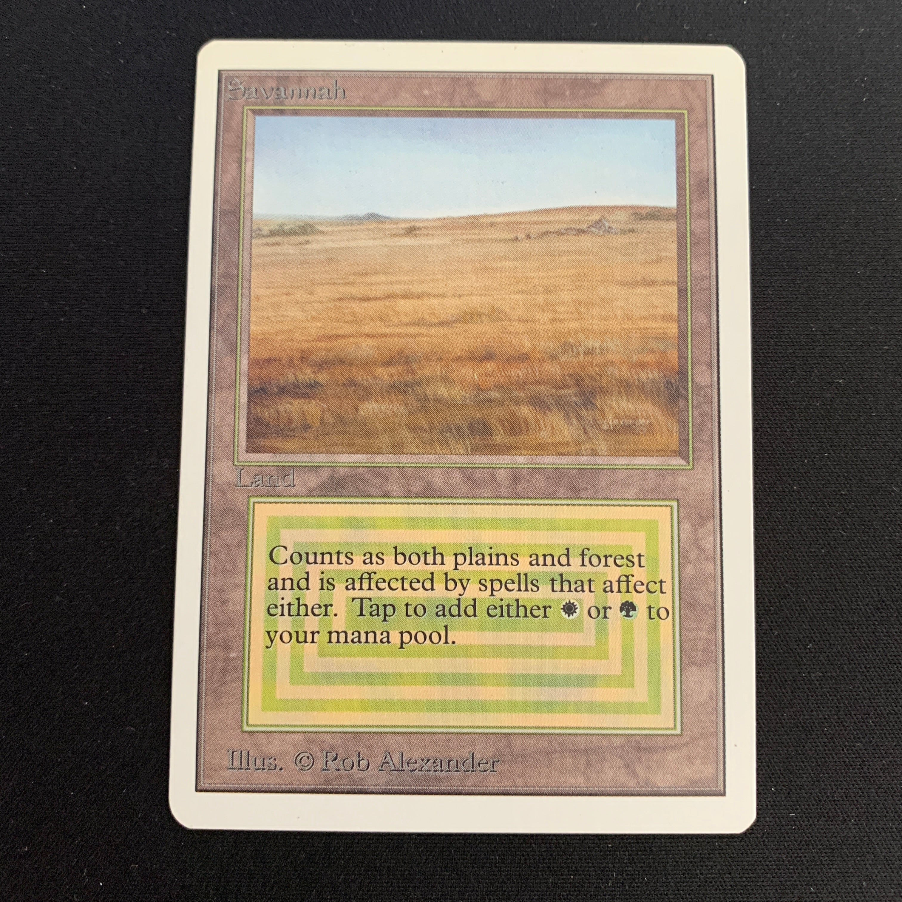 MTG Singles - Savannah - Unlimited -