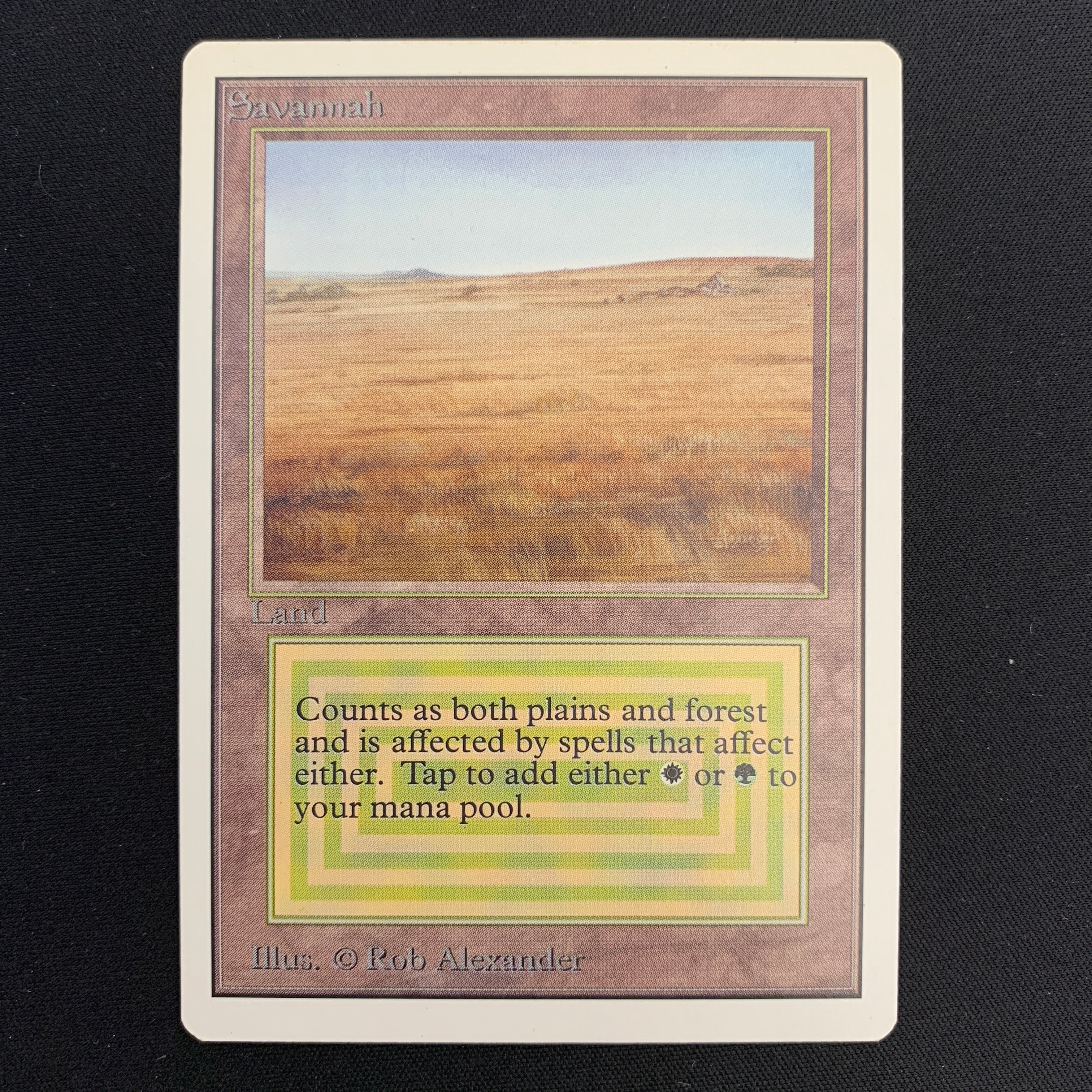 MTG Singles - Savannah - Unlimited -