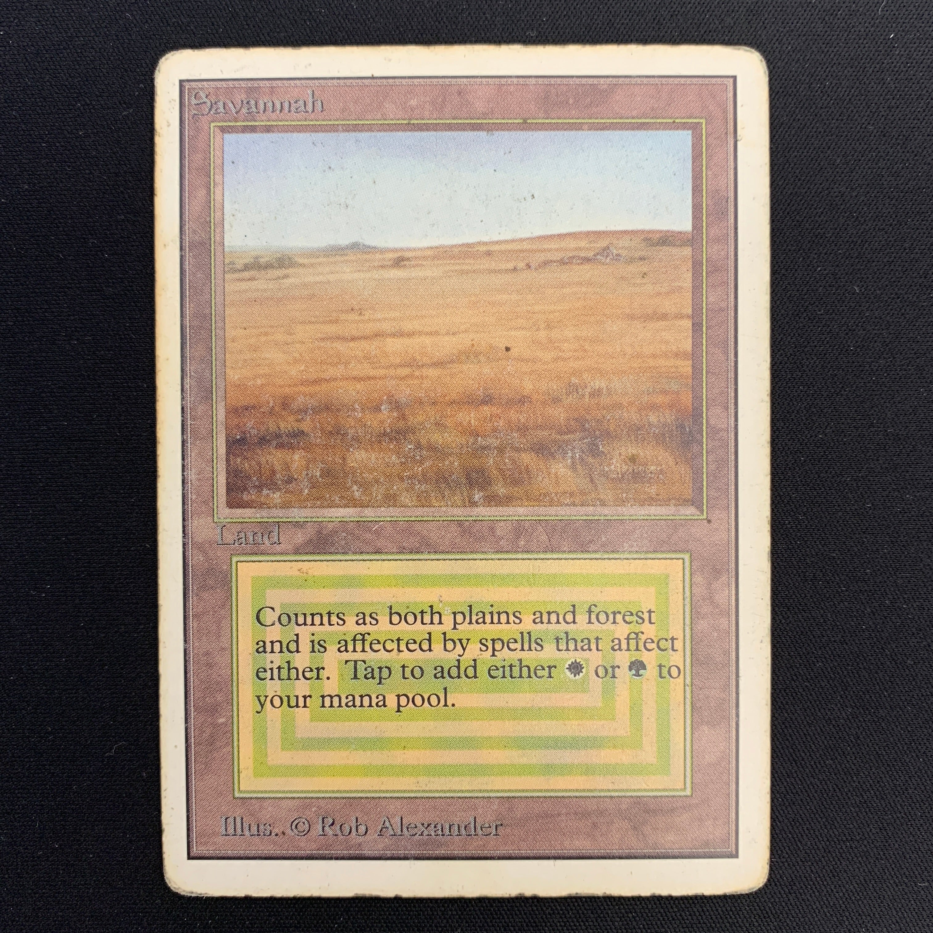 MTG Singles - Savannah - Unlimited -