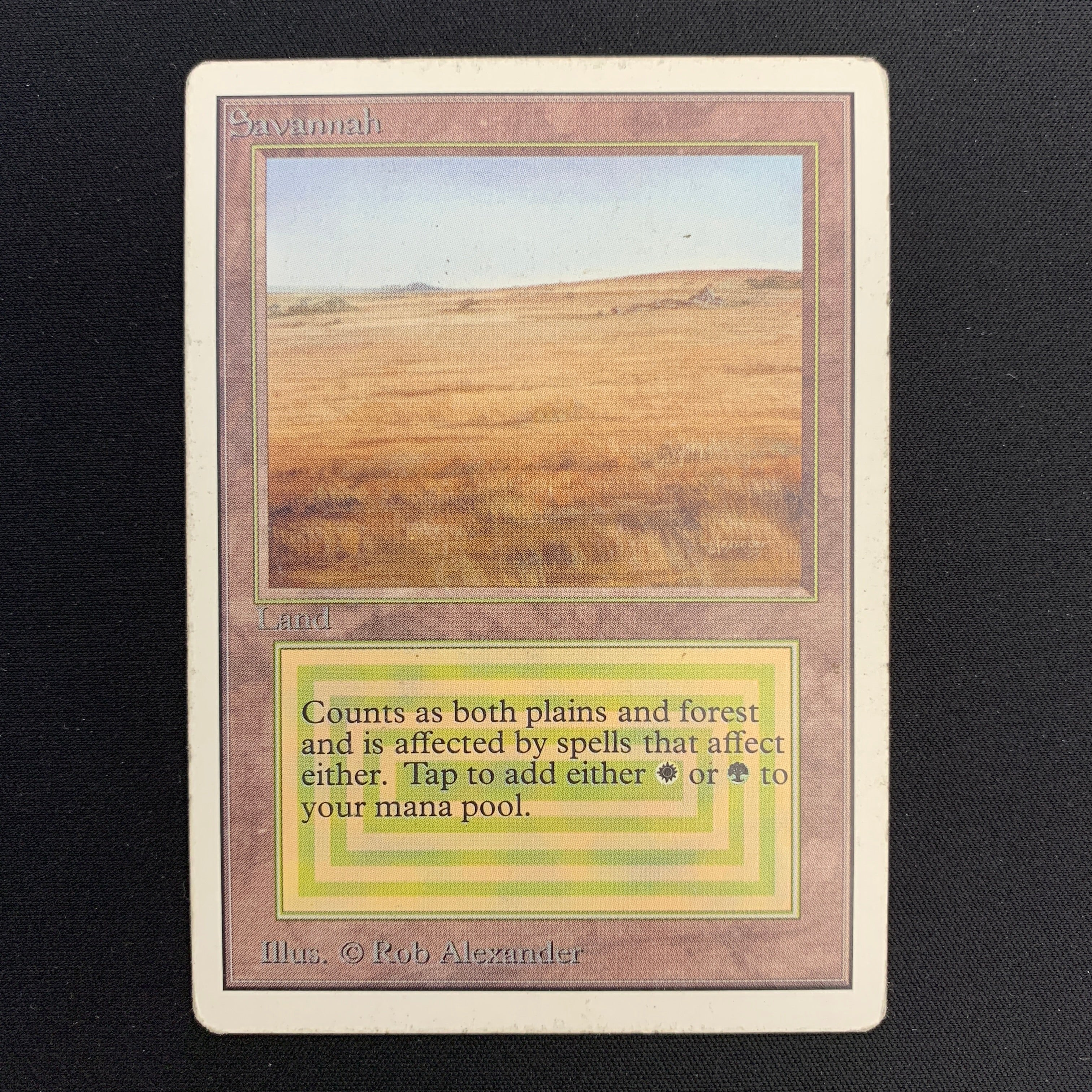 MTG Singles - Savannah - Unlimited -