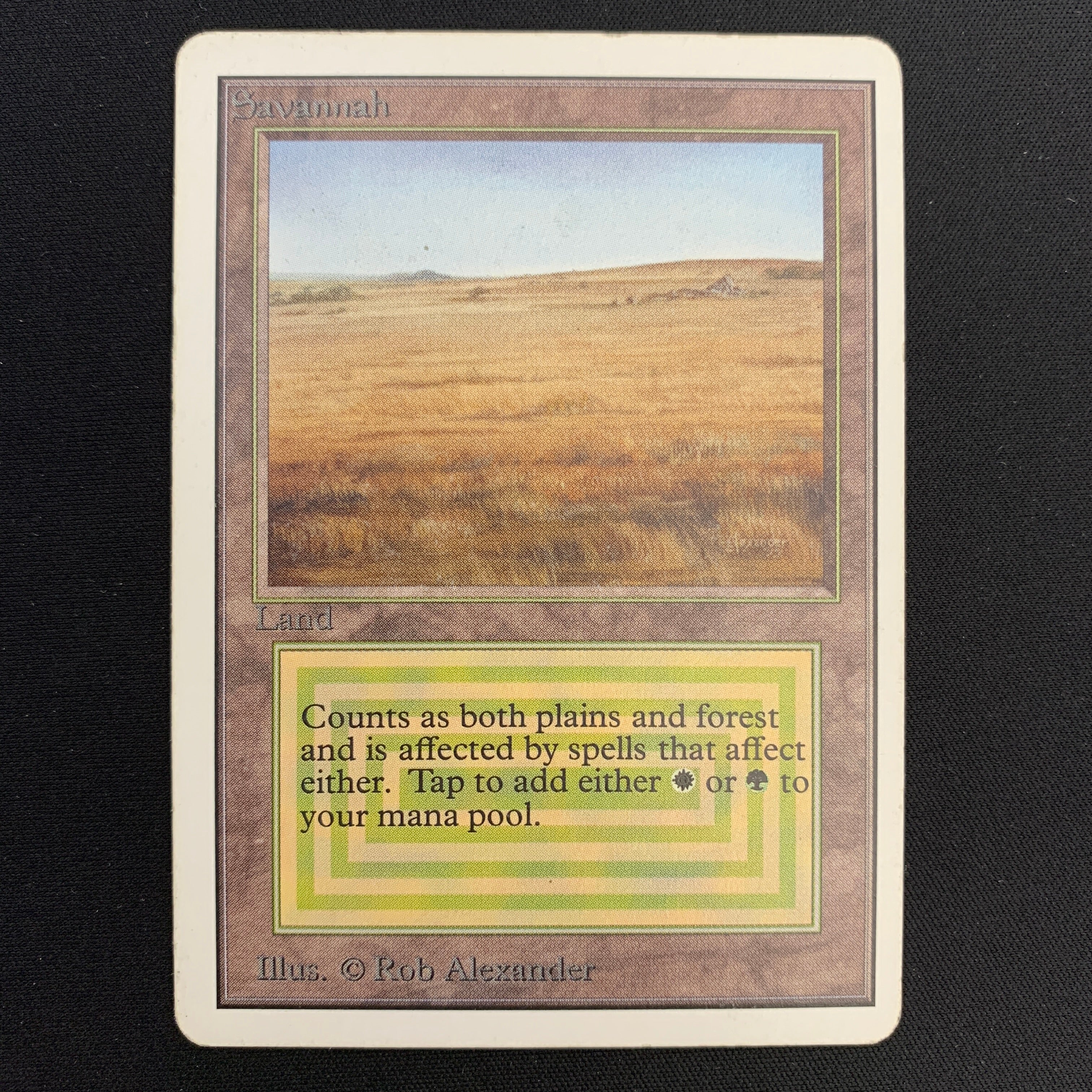 MTG Singles - Savannah - Unlimited -