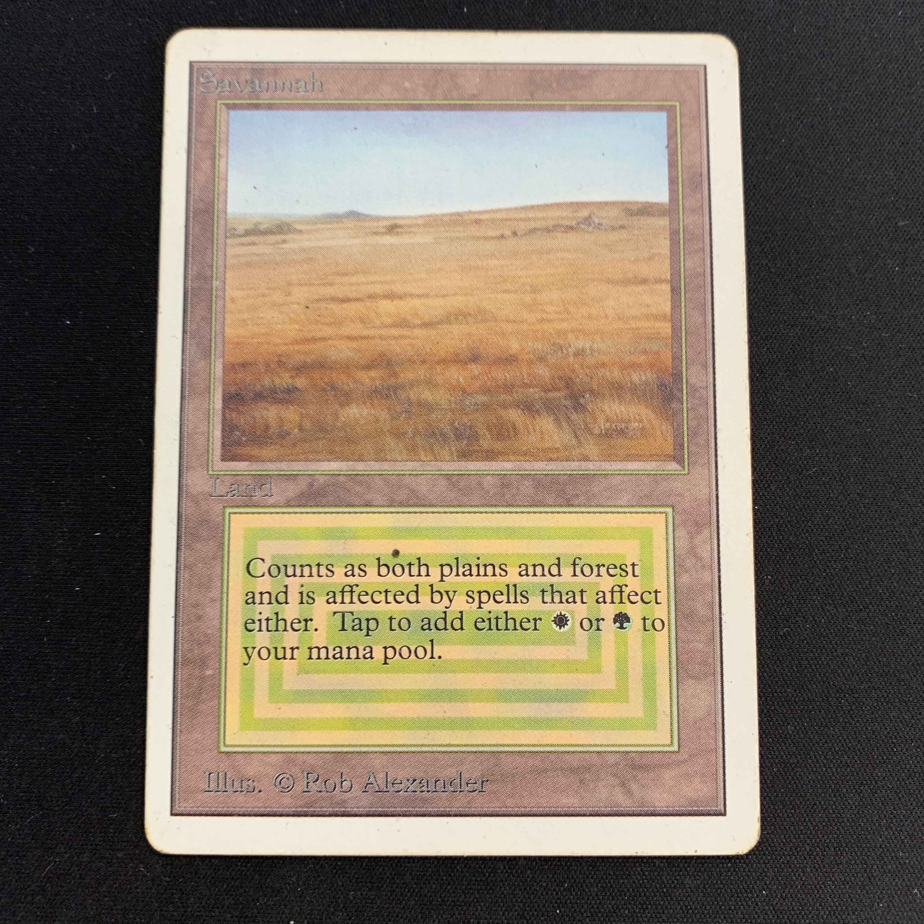 MTG Singles - Savannah - Unlimited -