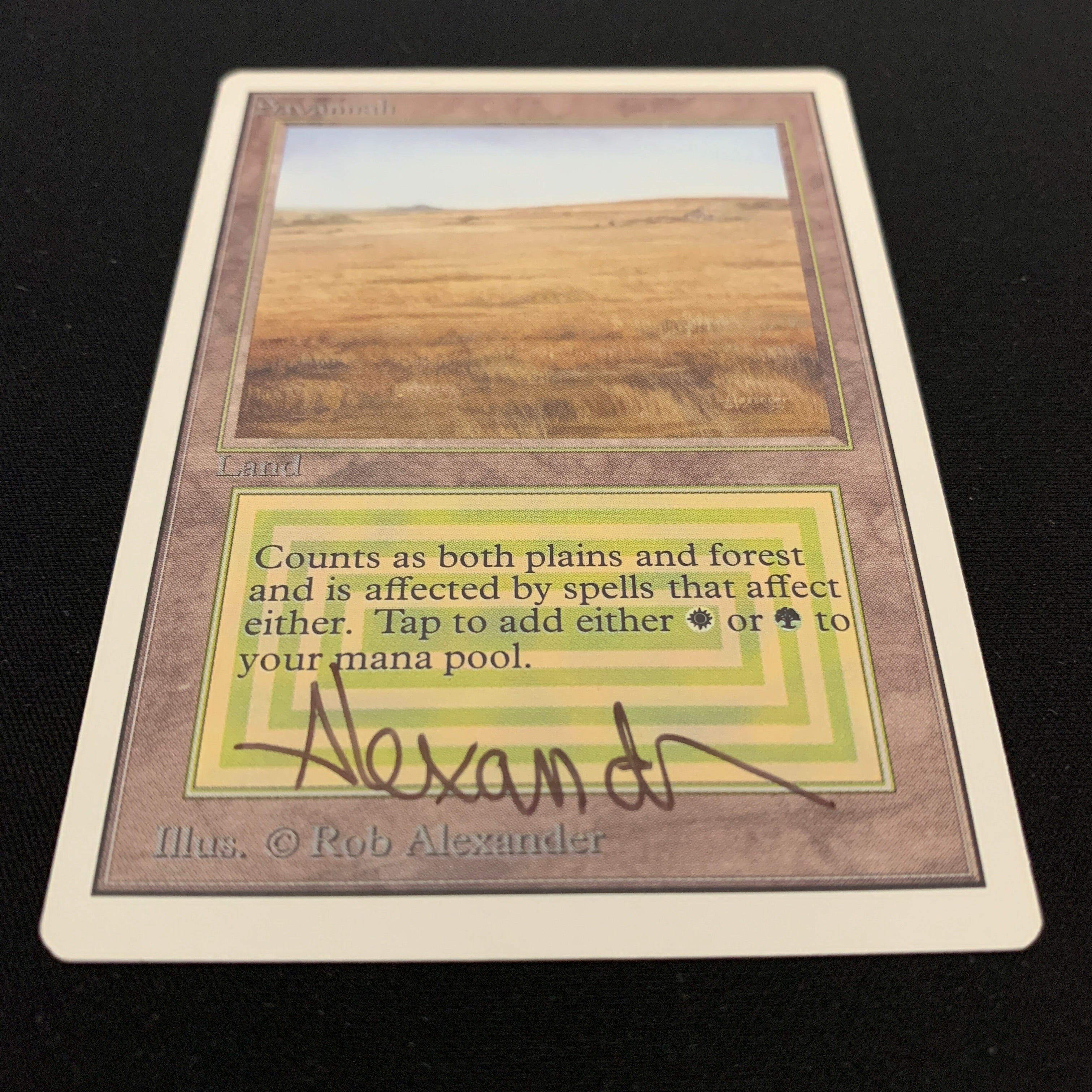 MTG Singles - Savannah - Unlimited -