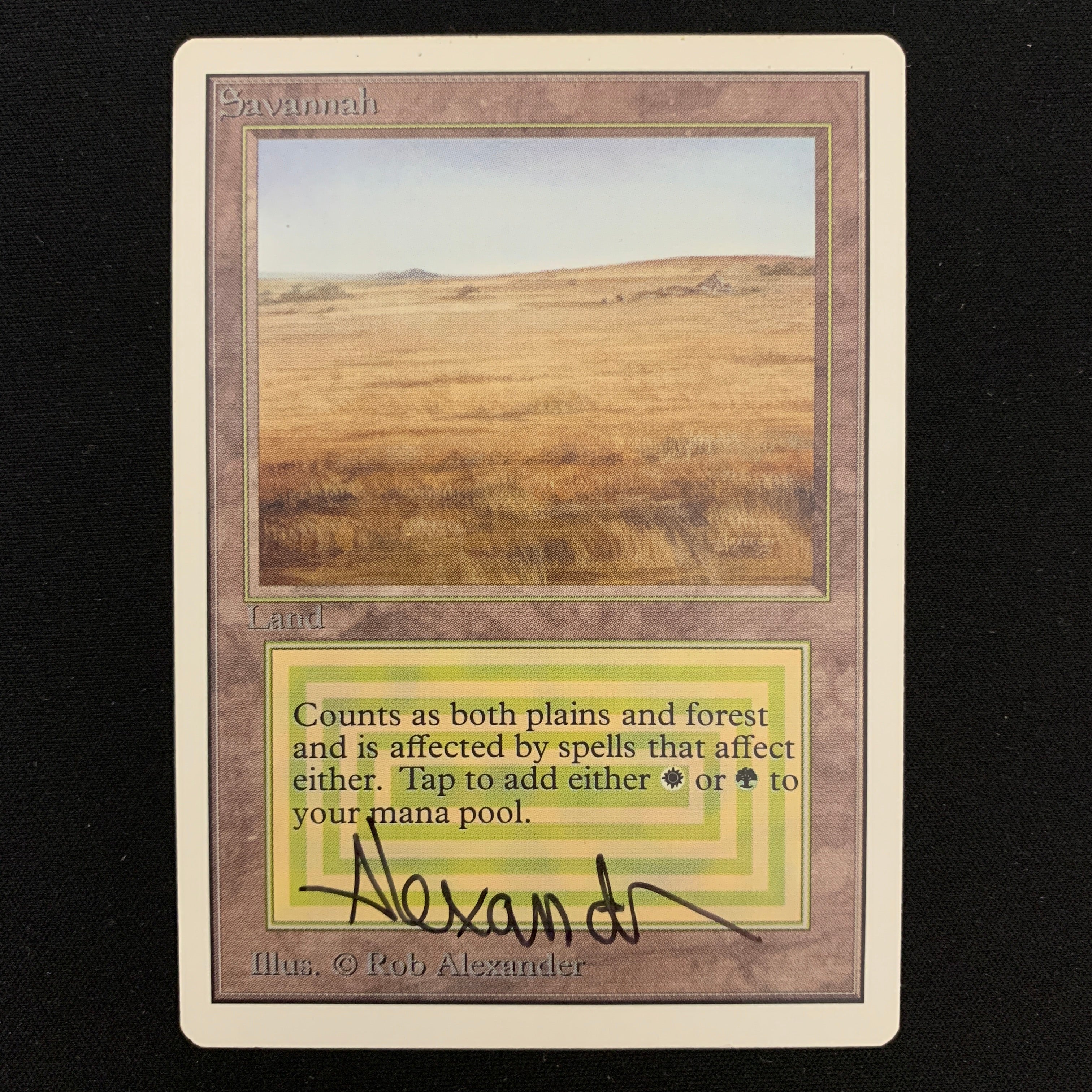 MTG Singles - Savannah - Unlimited -