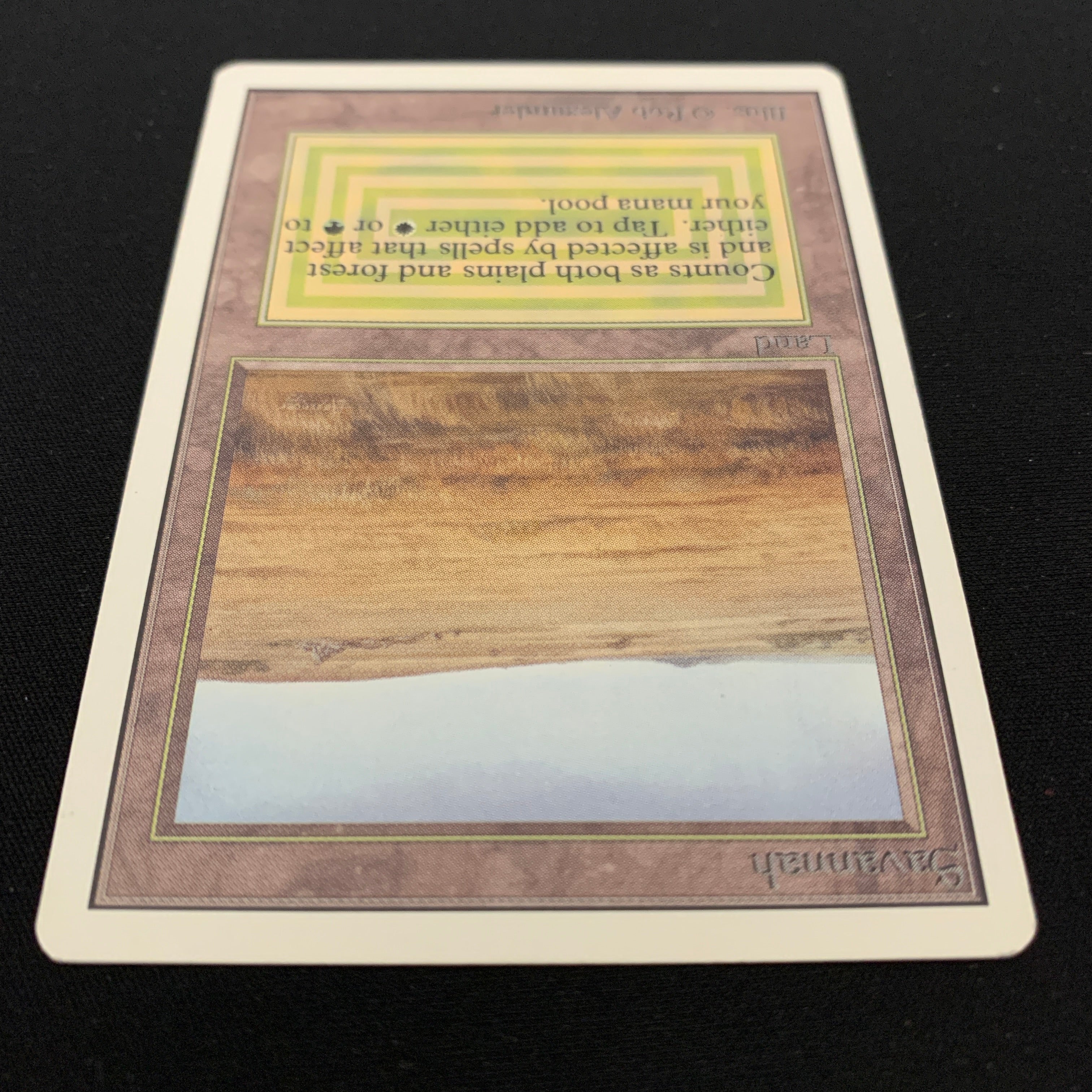MTG Singles - Savannah - Unlimited -