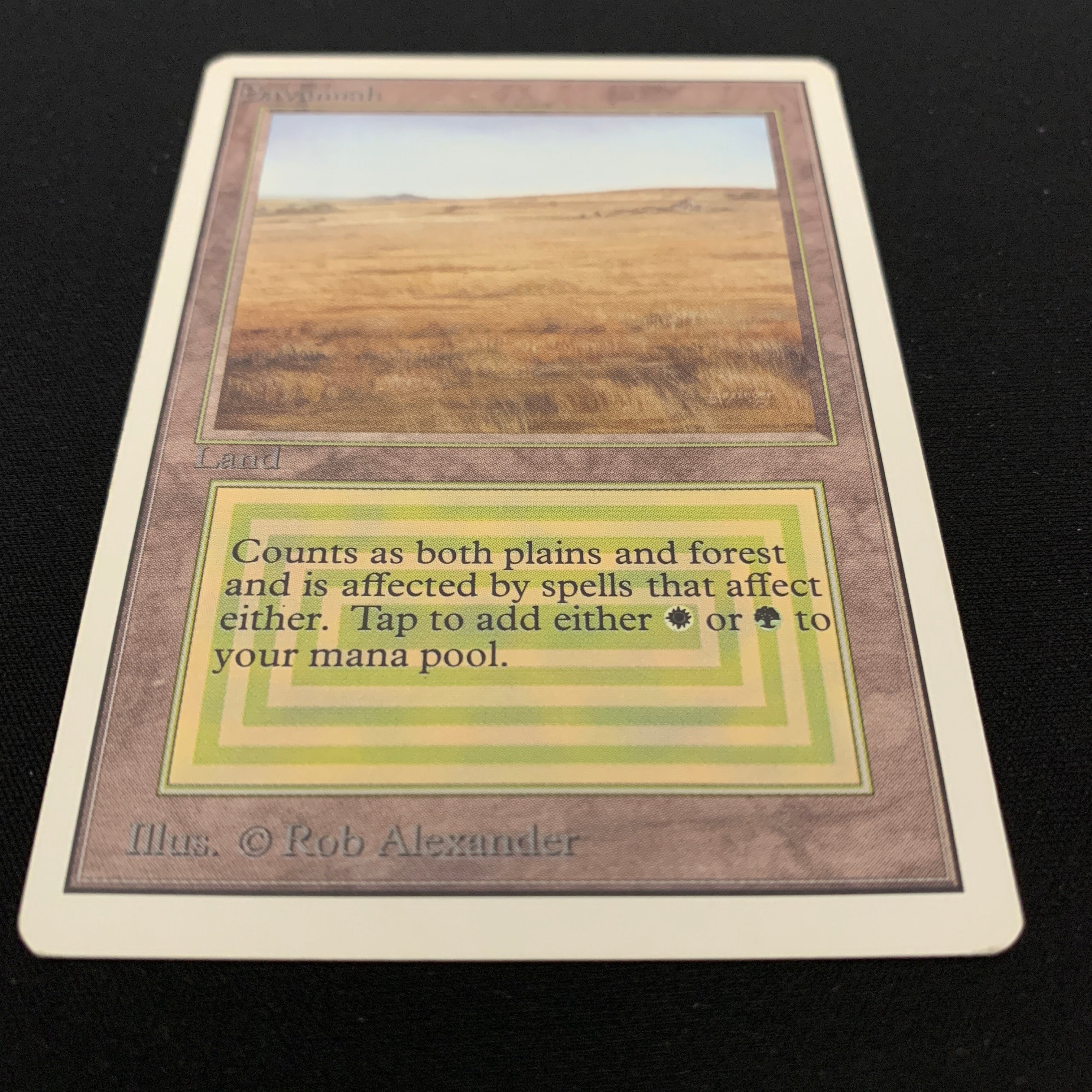 MTG Singles - Savannah - Unlimited -