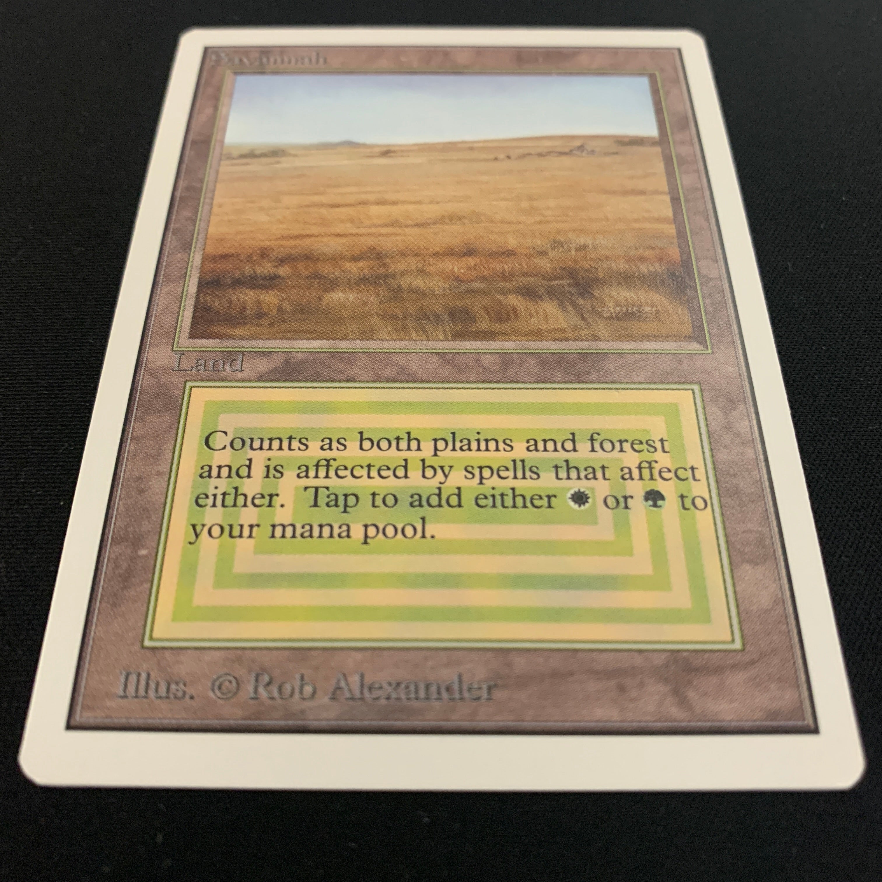 MTG Singles - Savannah - Unlimited -