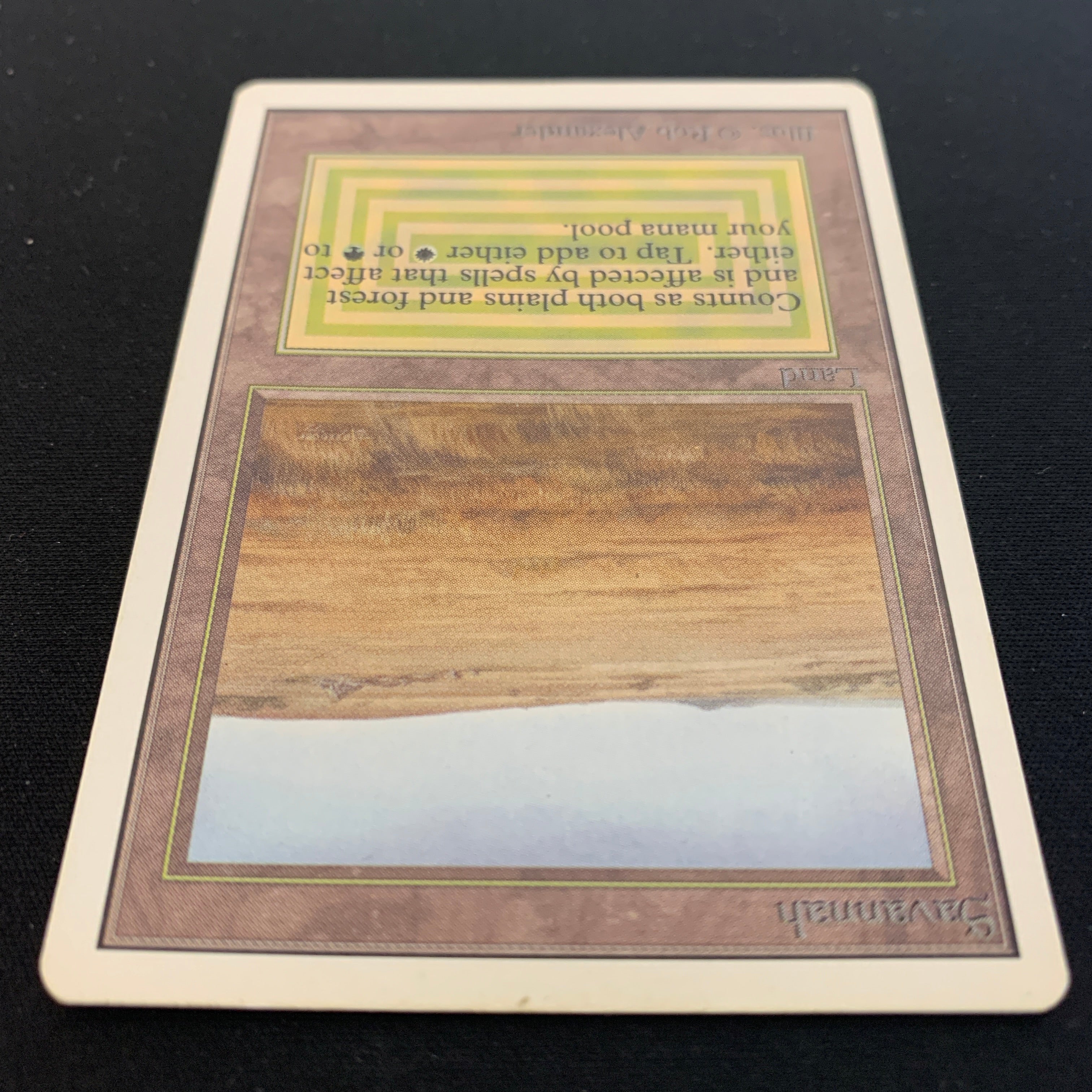 MTG Singles - Savannah - Unlimited -