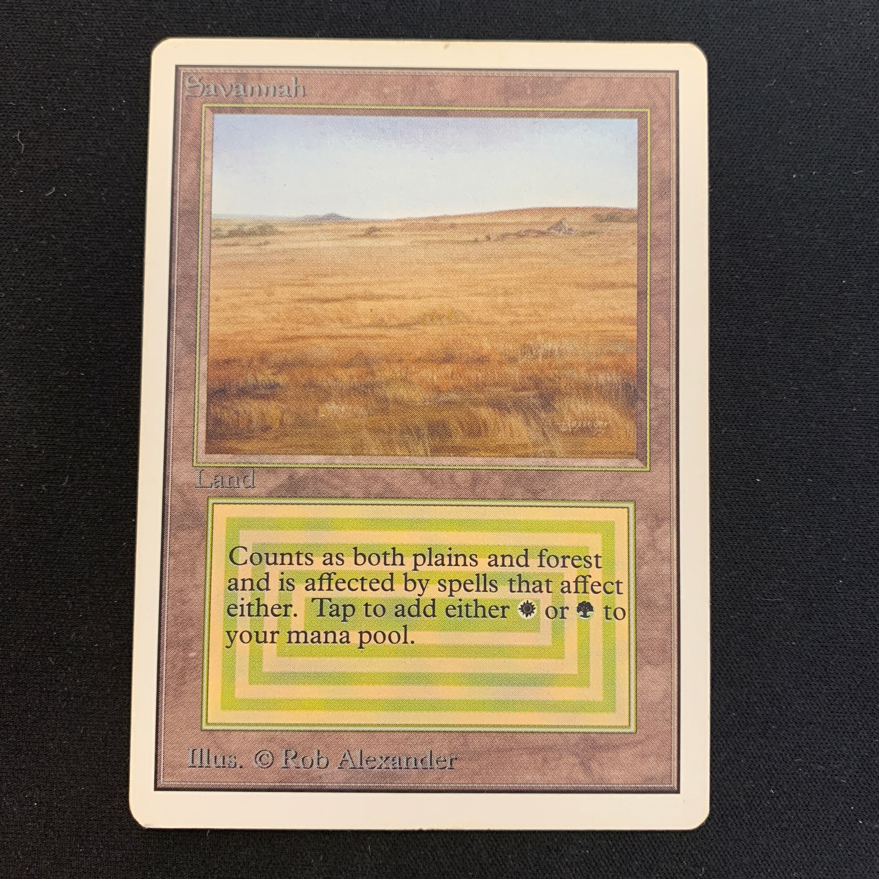 MTG Singles - Savannah - Unlimited -
