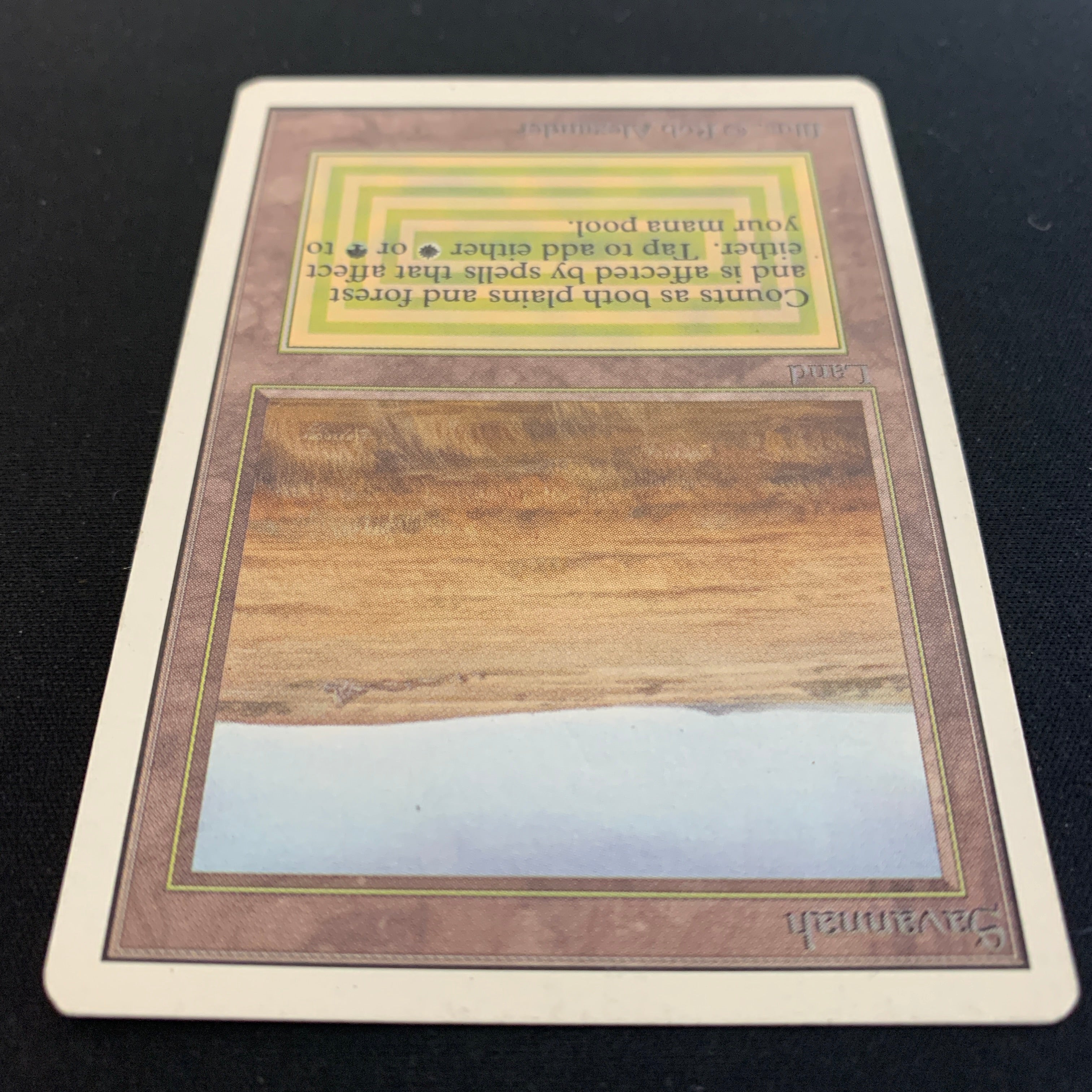 MTG Singles - Savannah - Unlimited -