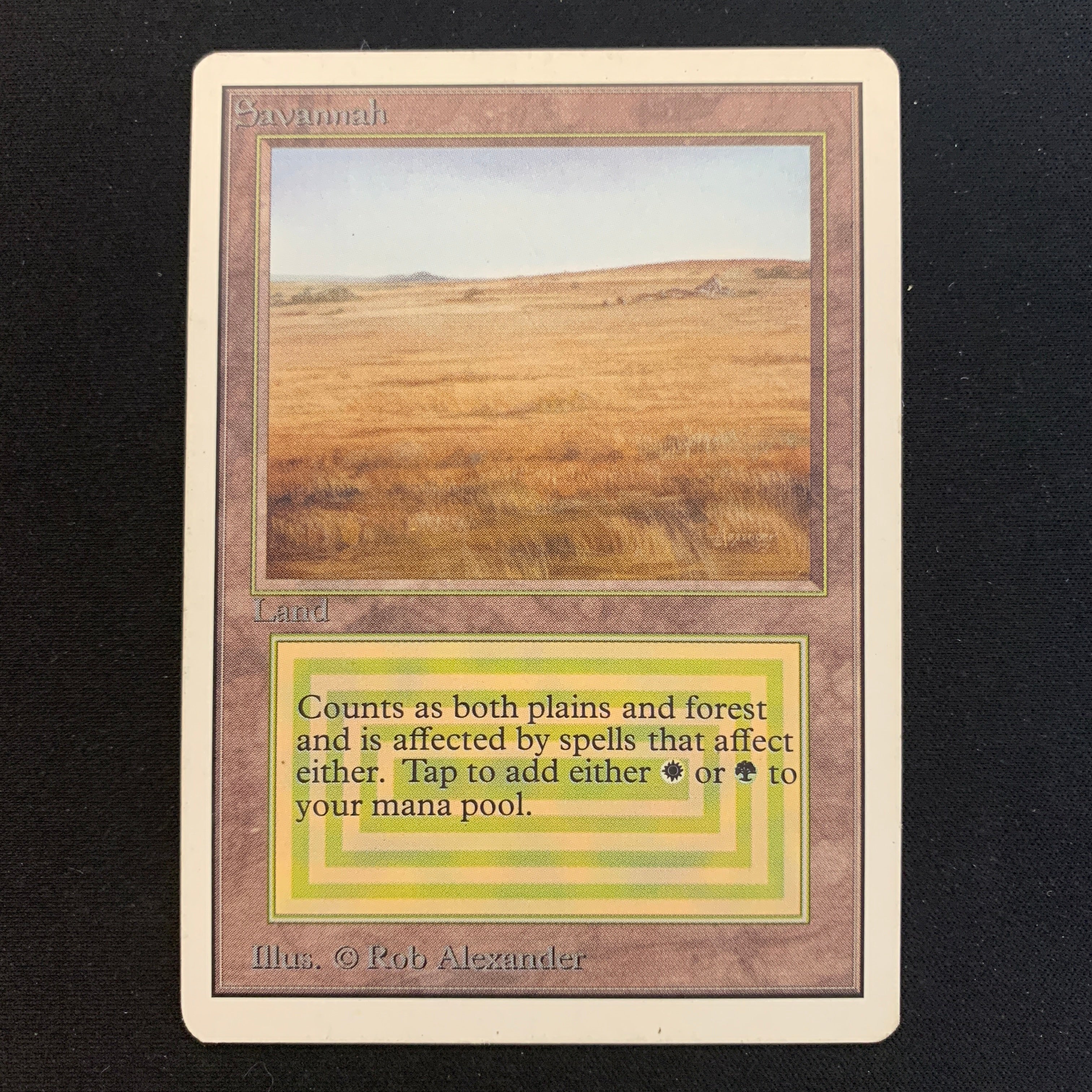 MTG Singles - Savannah - Unlimited -