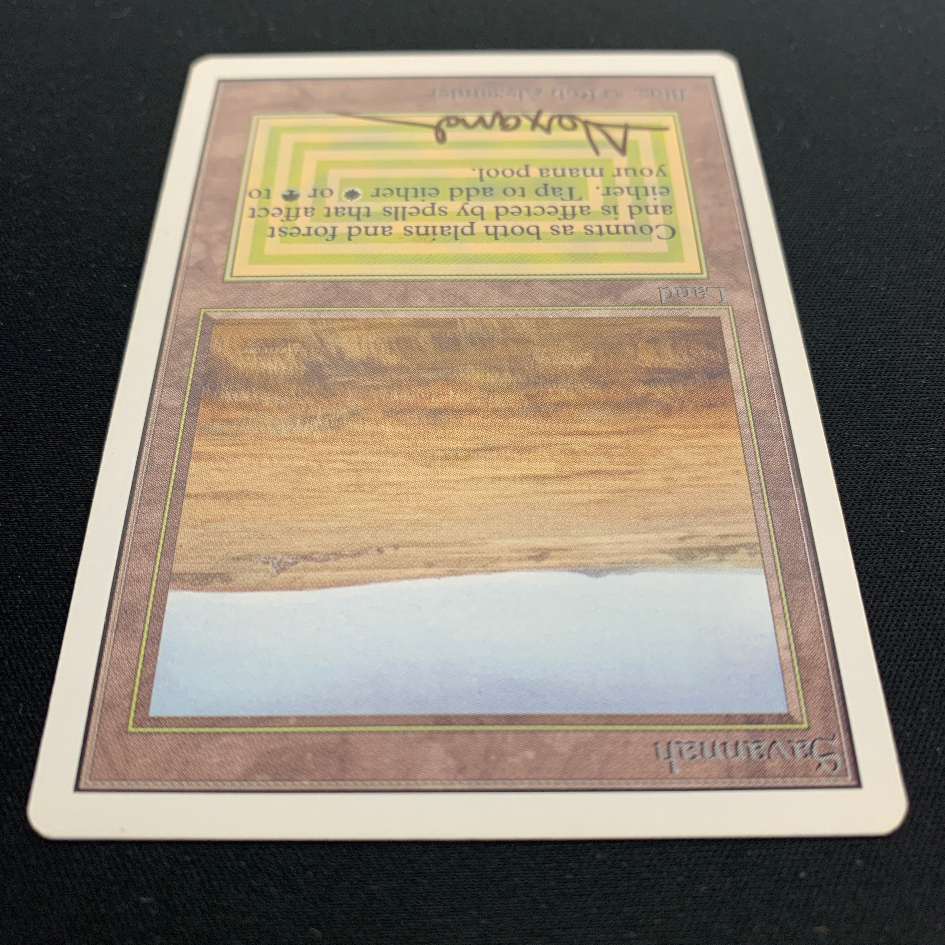 MTG Singles - Savannah - Unlimited -