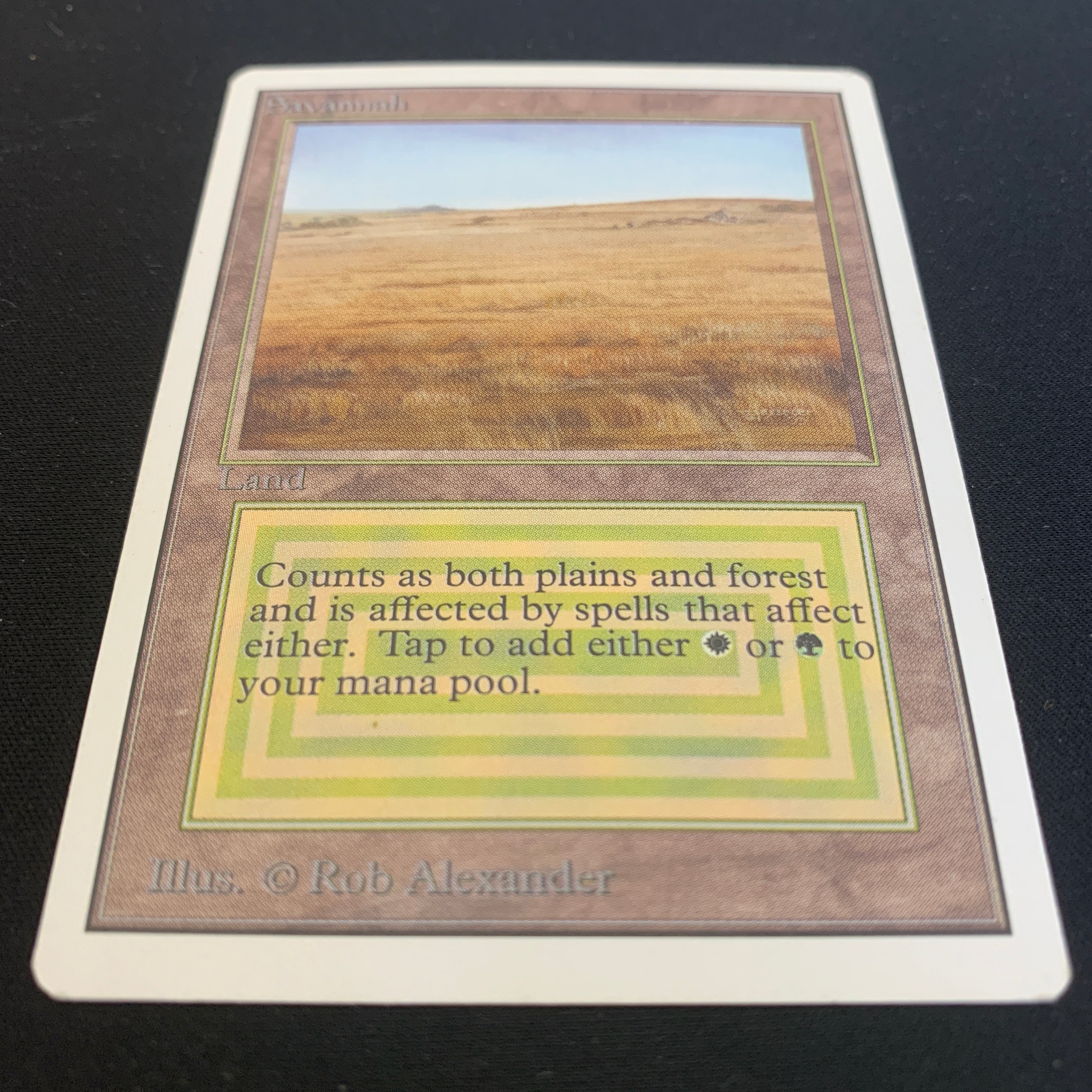 MTG Singles - Savannah - Unlimited -