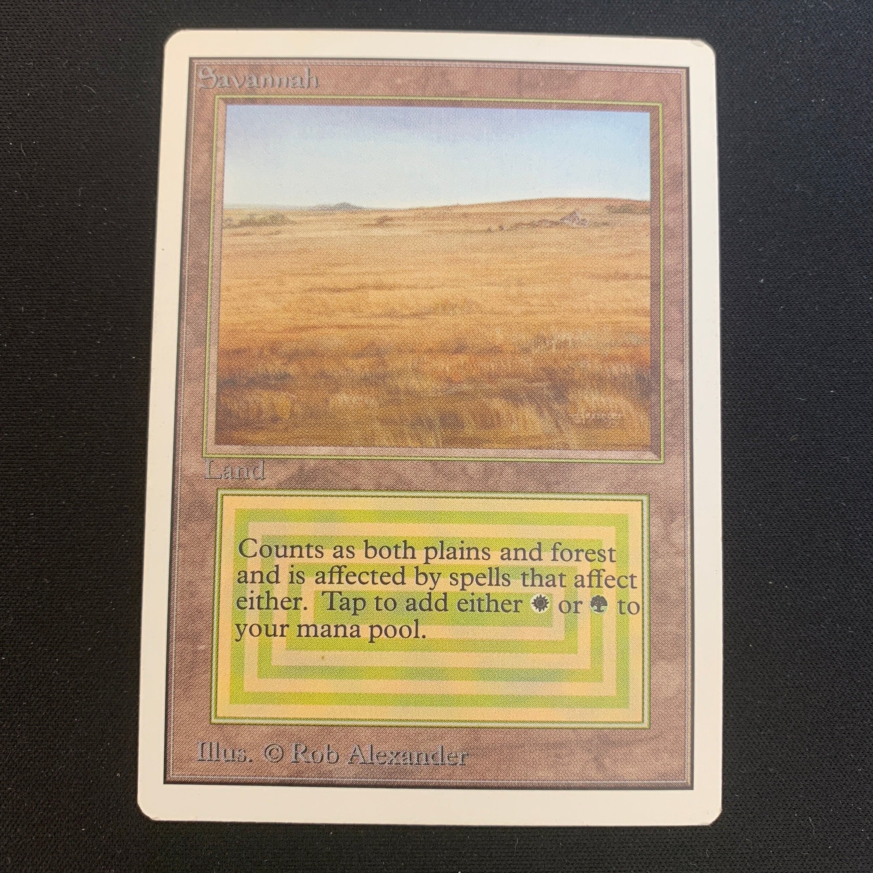 MTG Singles - Savannah - Unlimited -