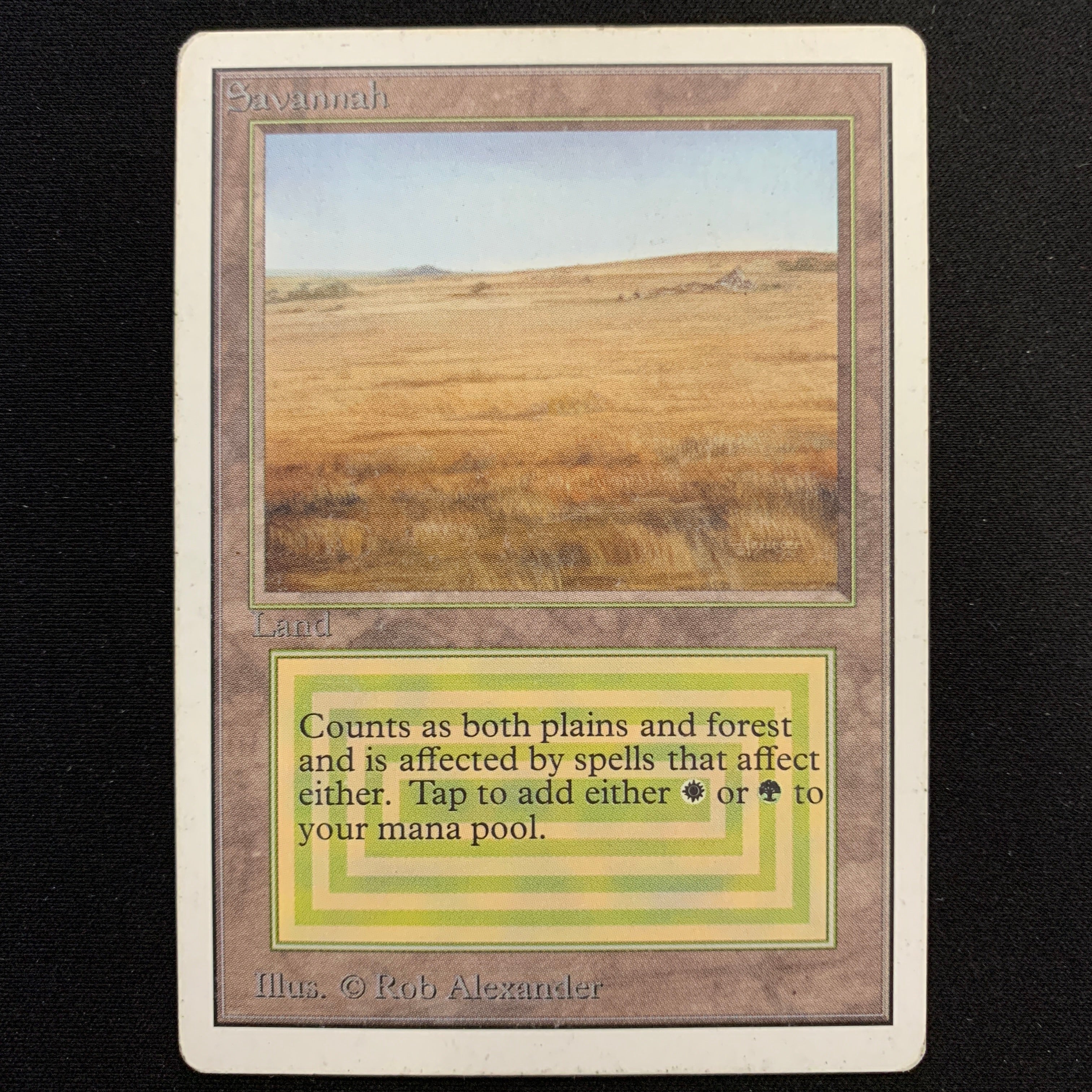 MTG Singles - Savannah - Unlimited -