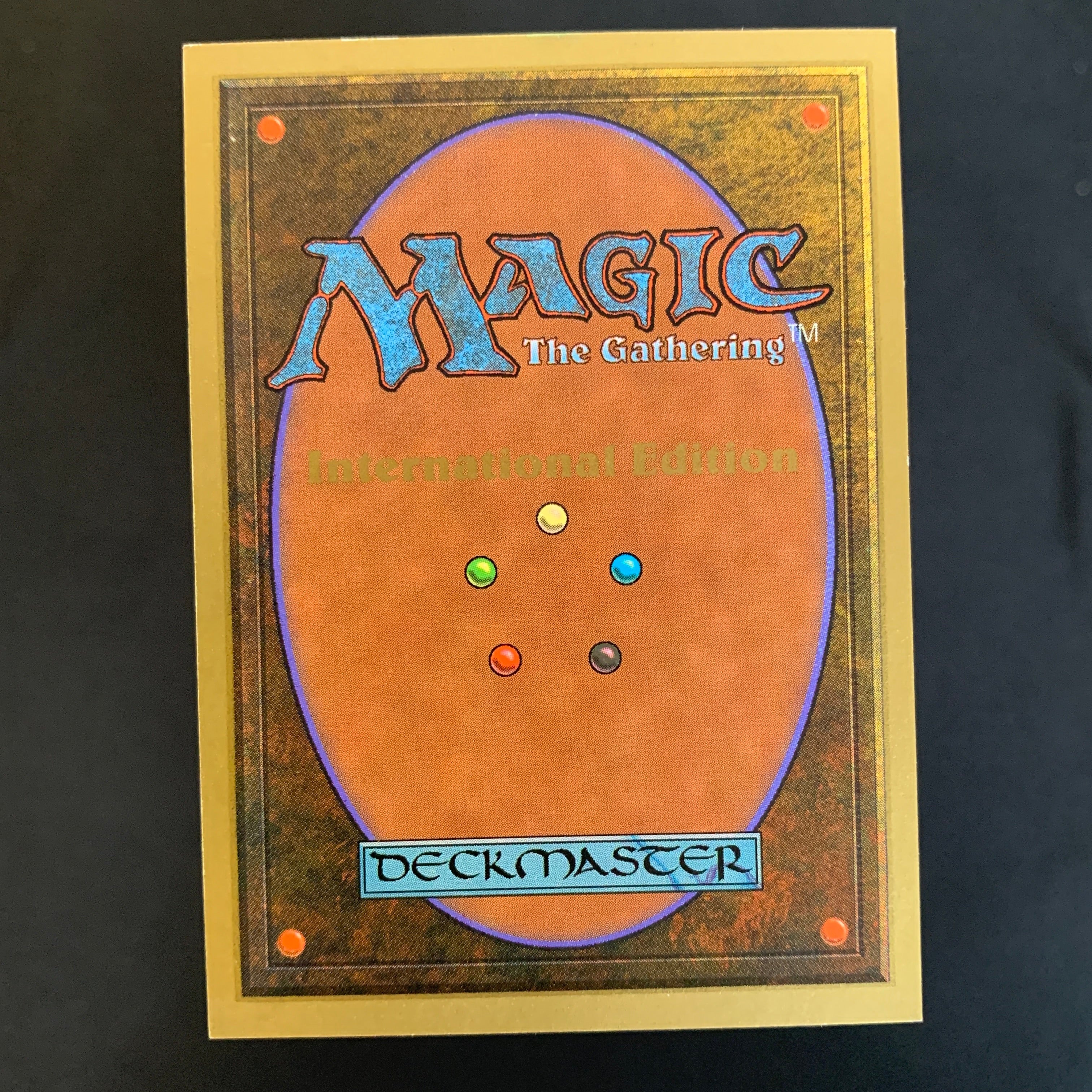 MTG Singles - Scrubland - International Edition -