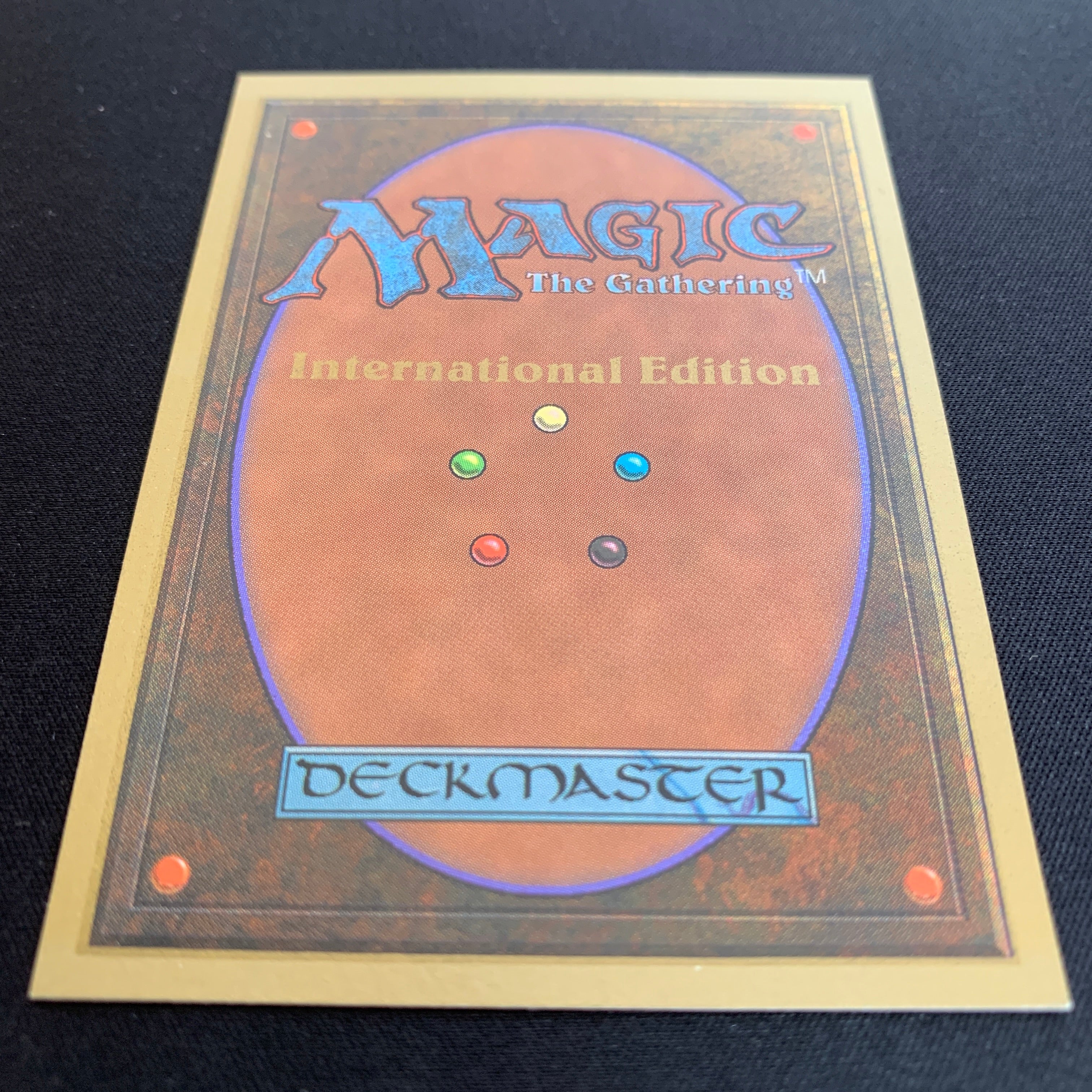 MTG Singles - Scrubland - International Edition -