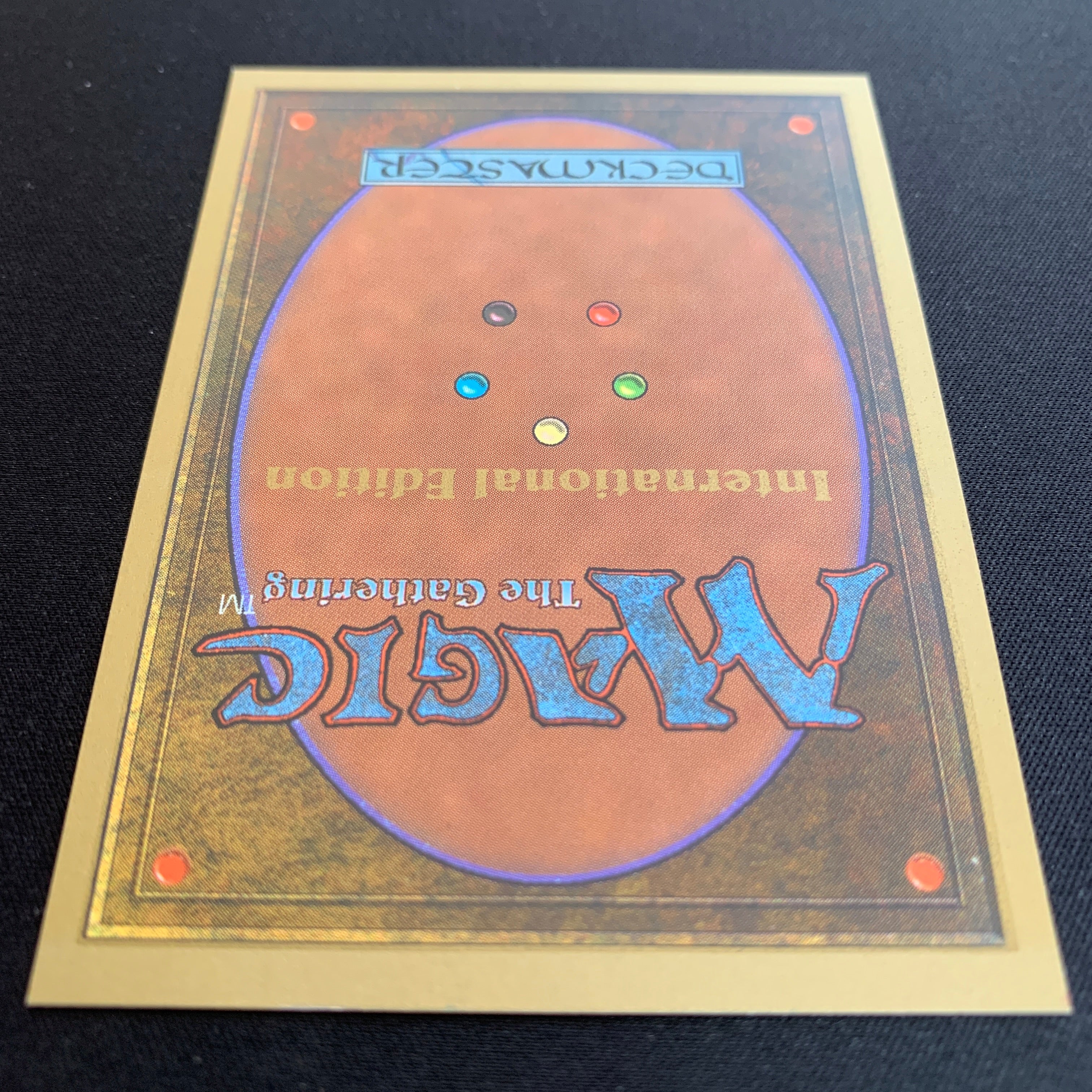 MTG Singles - Scrubland - International Edition -