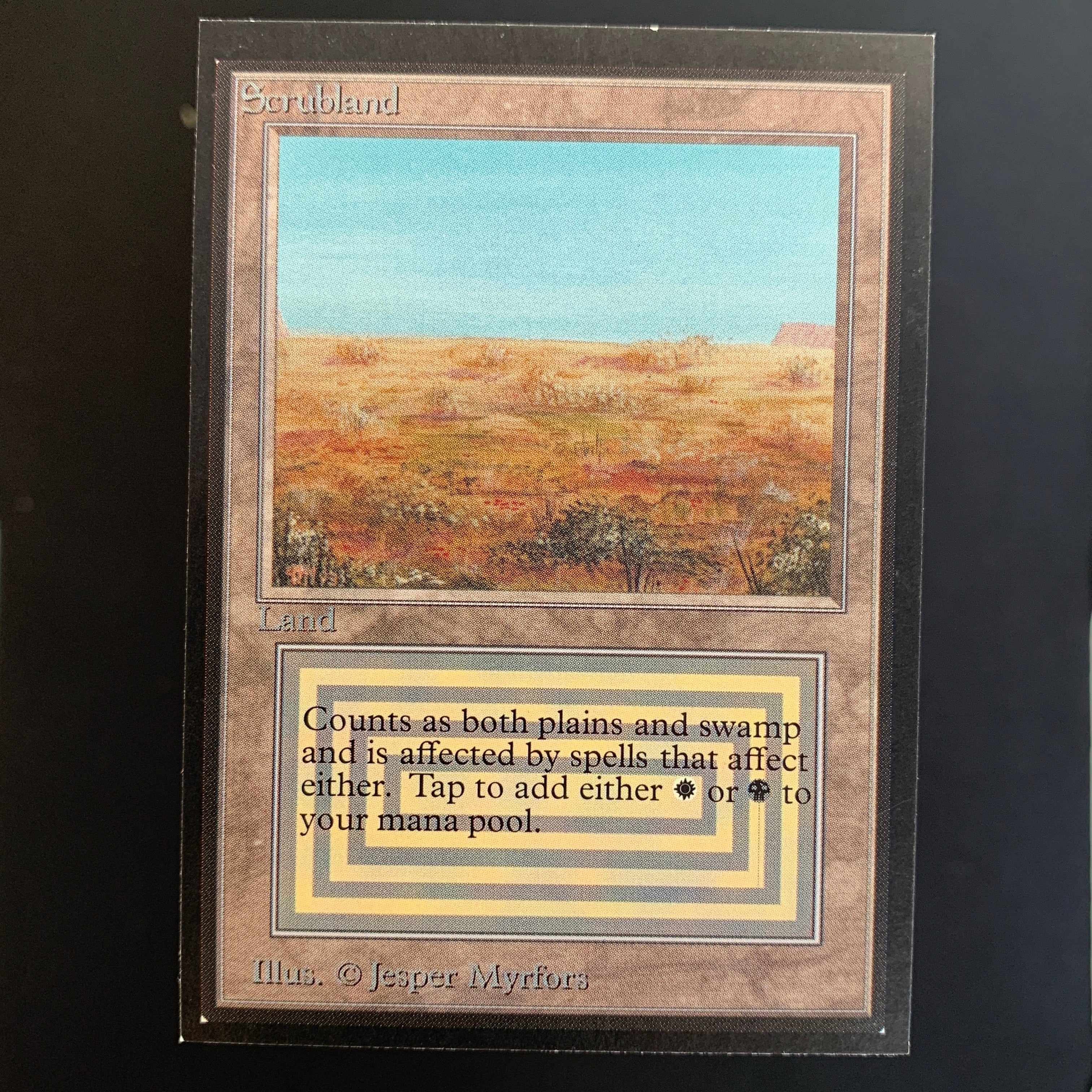MTG Singles - Scrubland - International Edition -