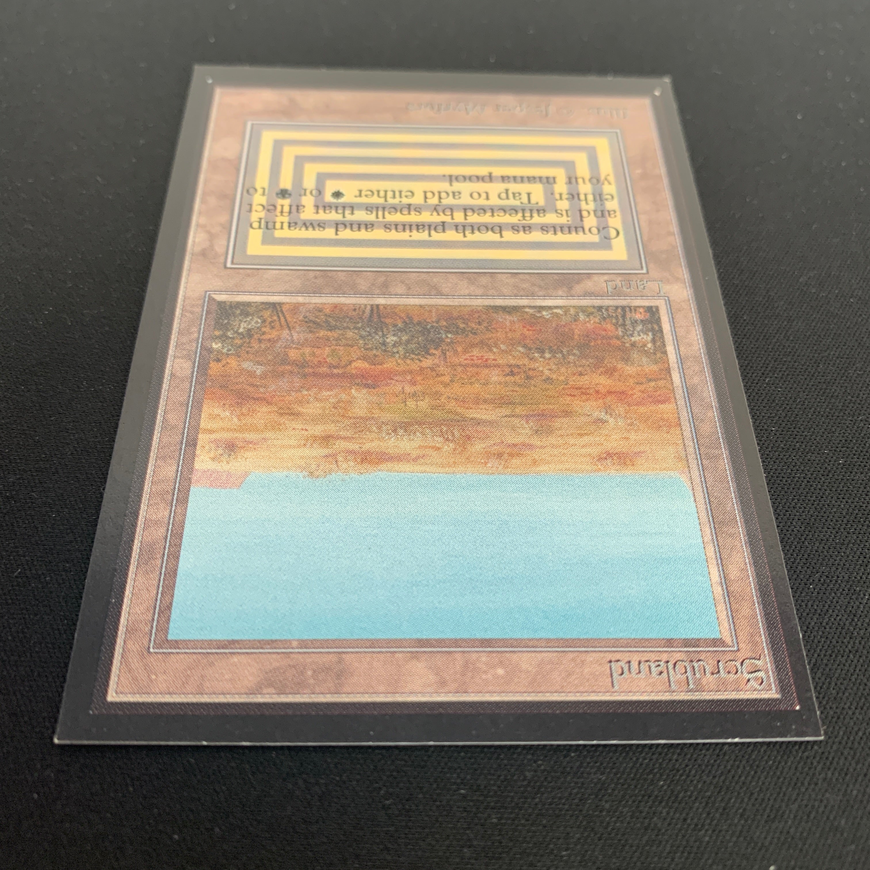 MTG Singles - Scrubland - International Edition -