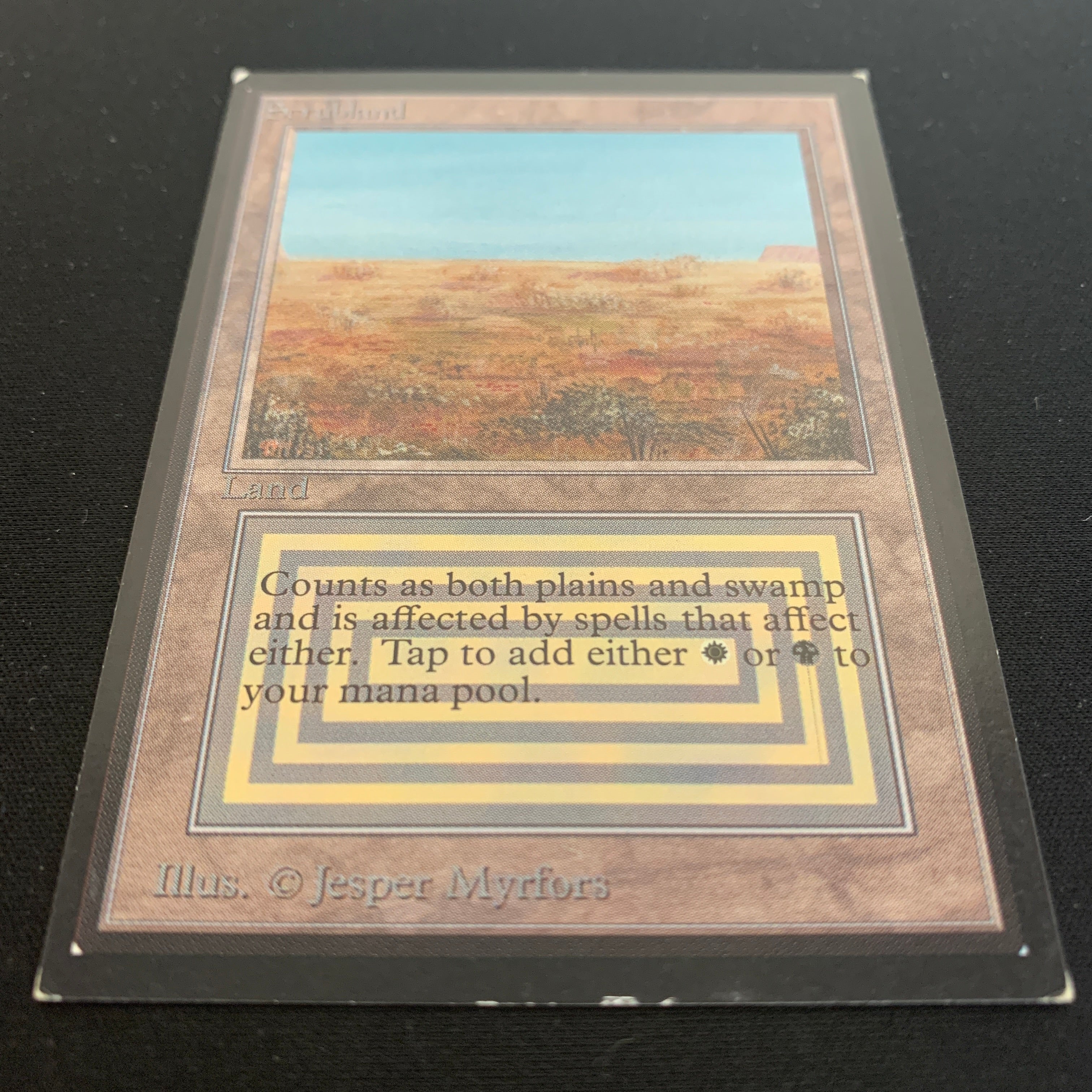MTG Singles - Scrubland - International Edition -