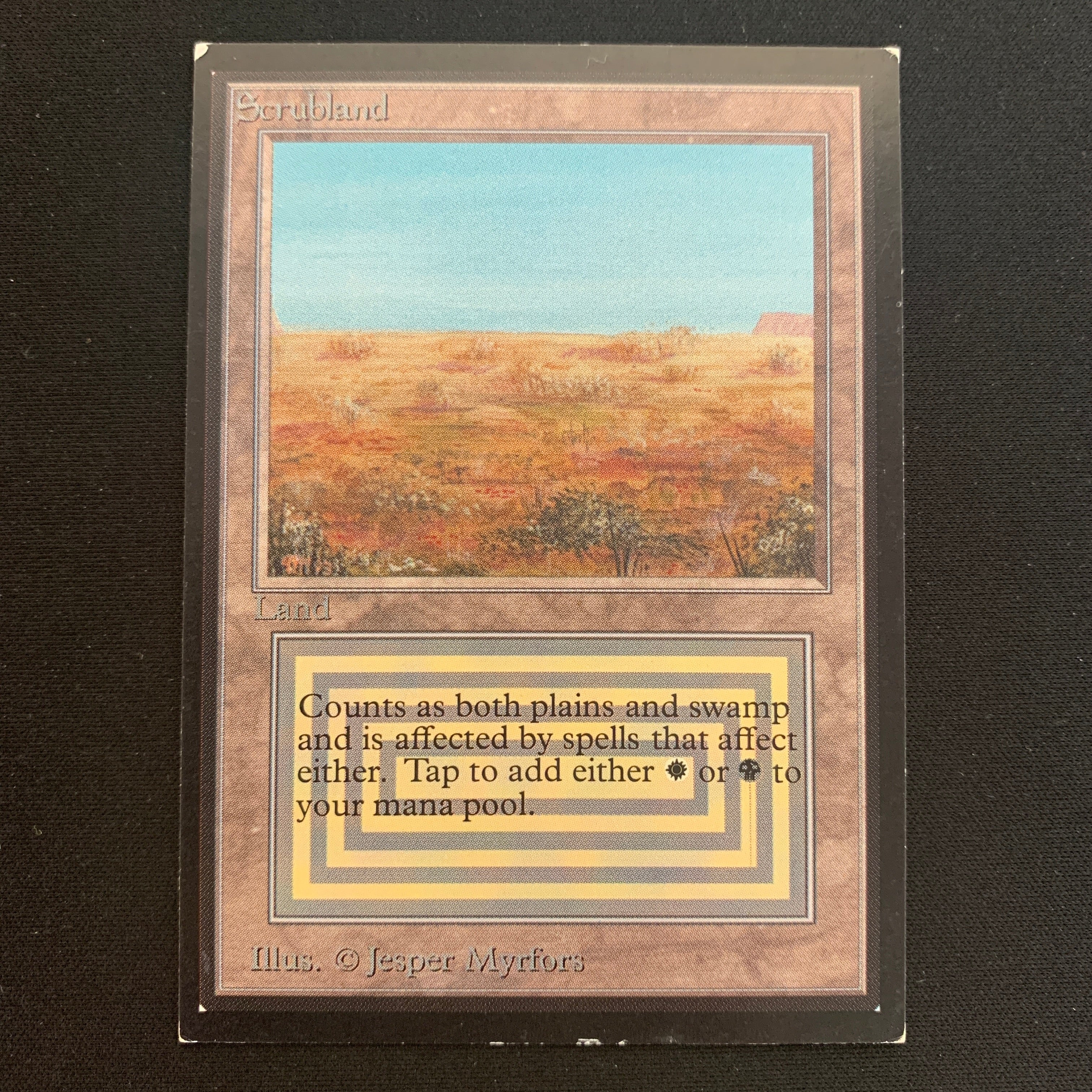 MTG Singles - Scrubland - International Edition -