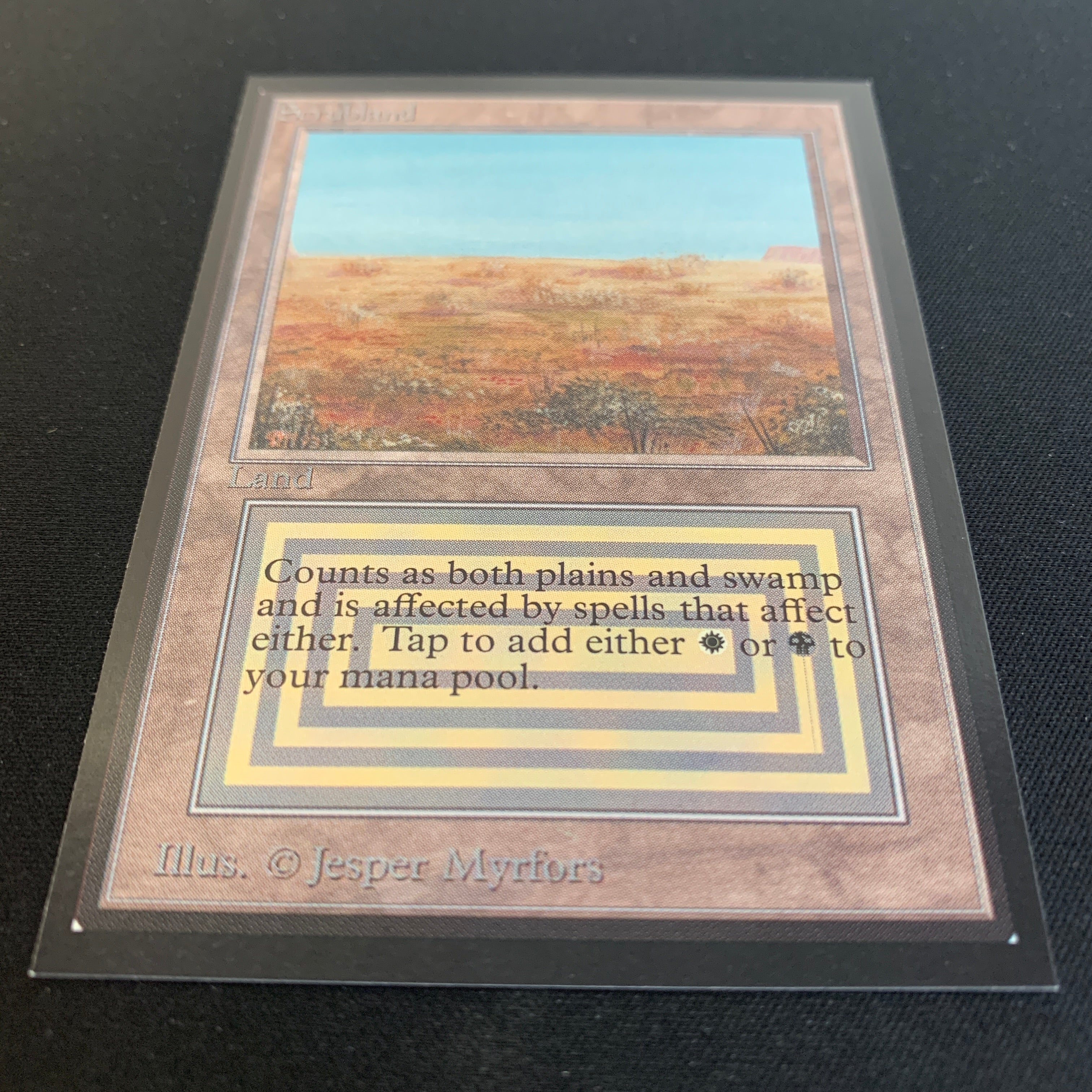 MTG Singles - Scrubland - International Edition -