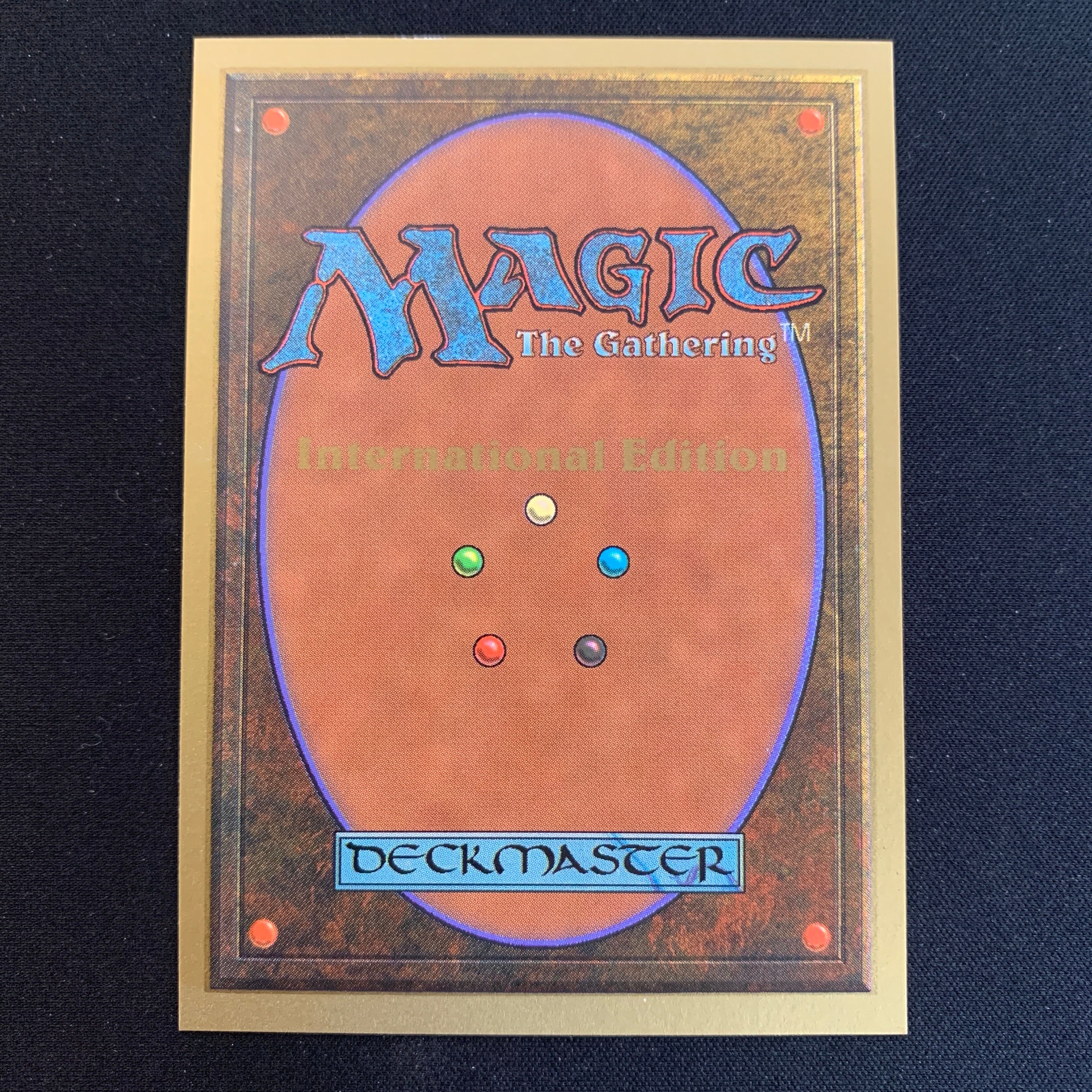 MTG Singles - Scrubland - International Edition -