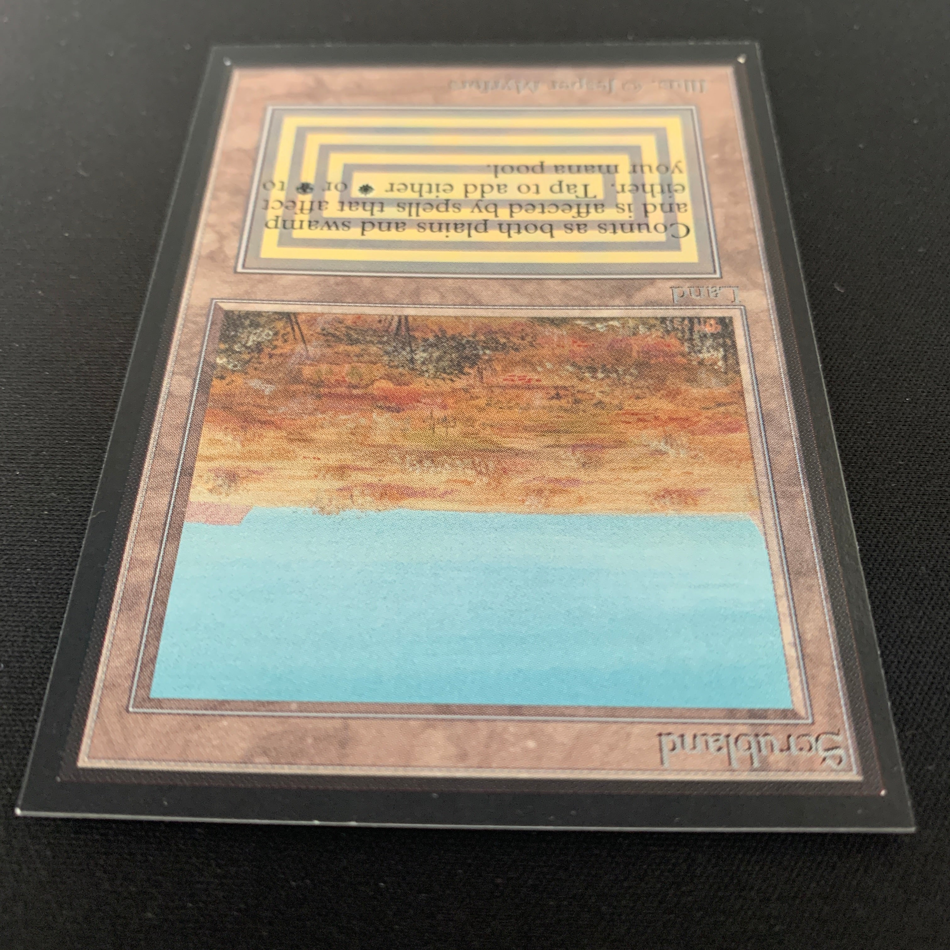 MTG Singles - Scrubland - International Edition -