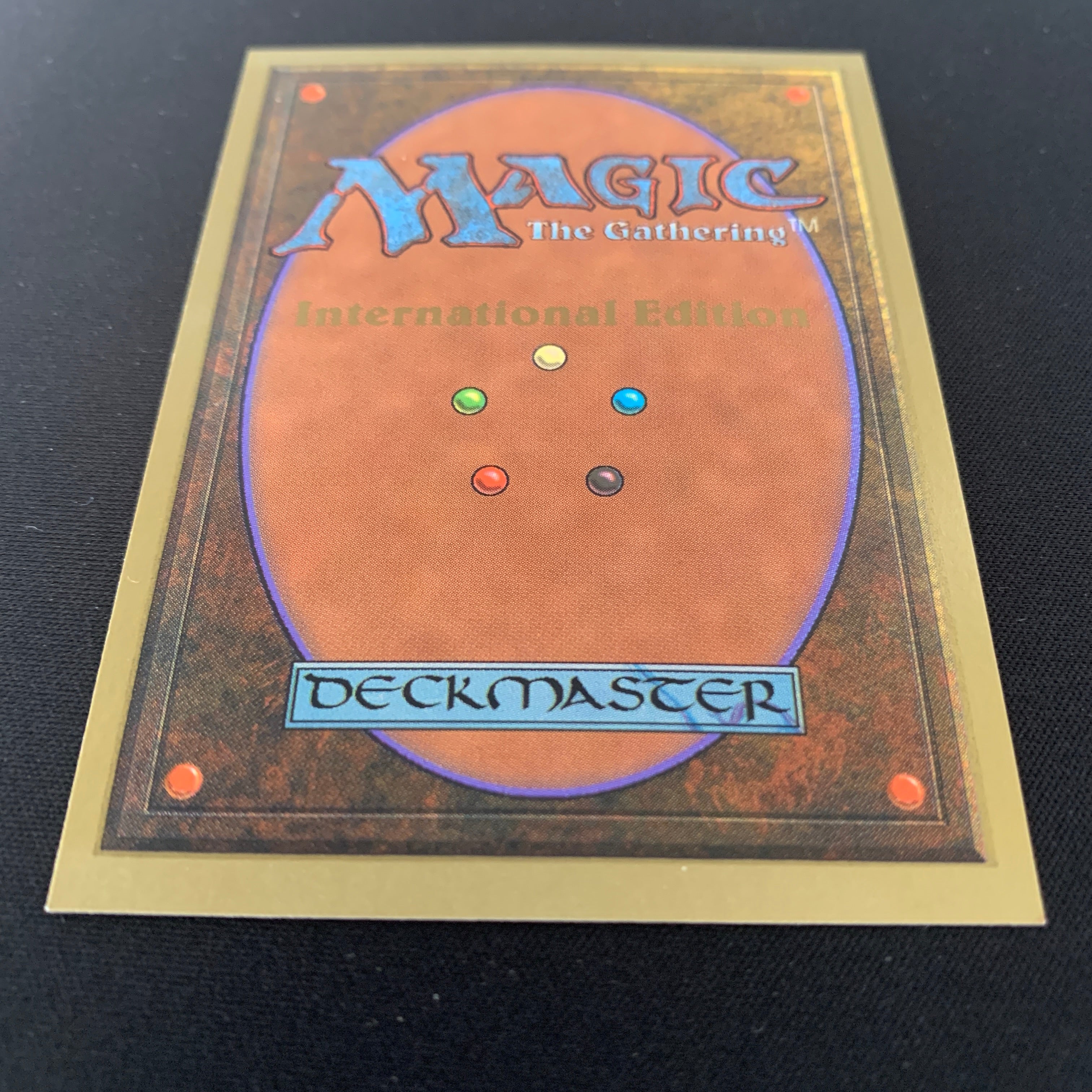 MTG Singles - Scrubland - International Edition -