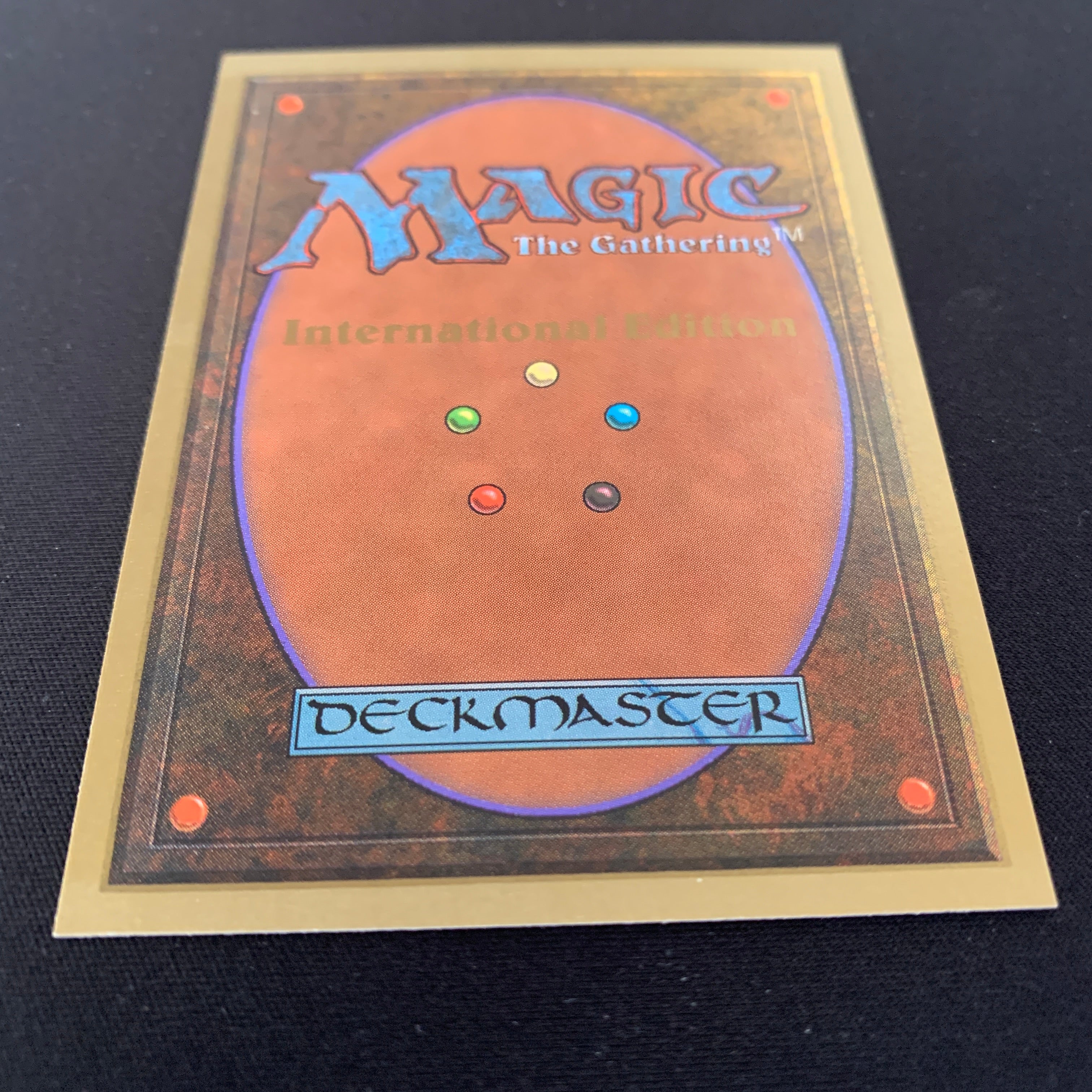 MTG Singles - Scrubland - International Edition -