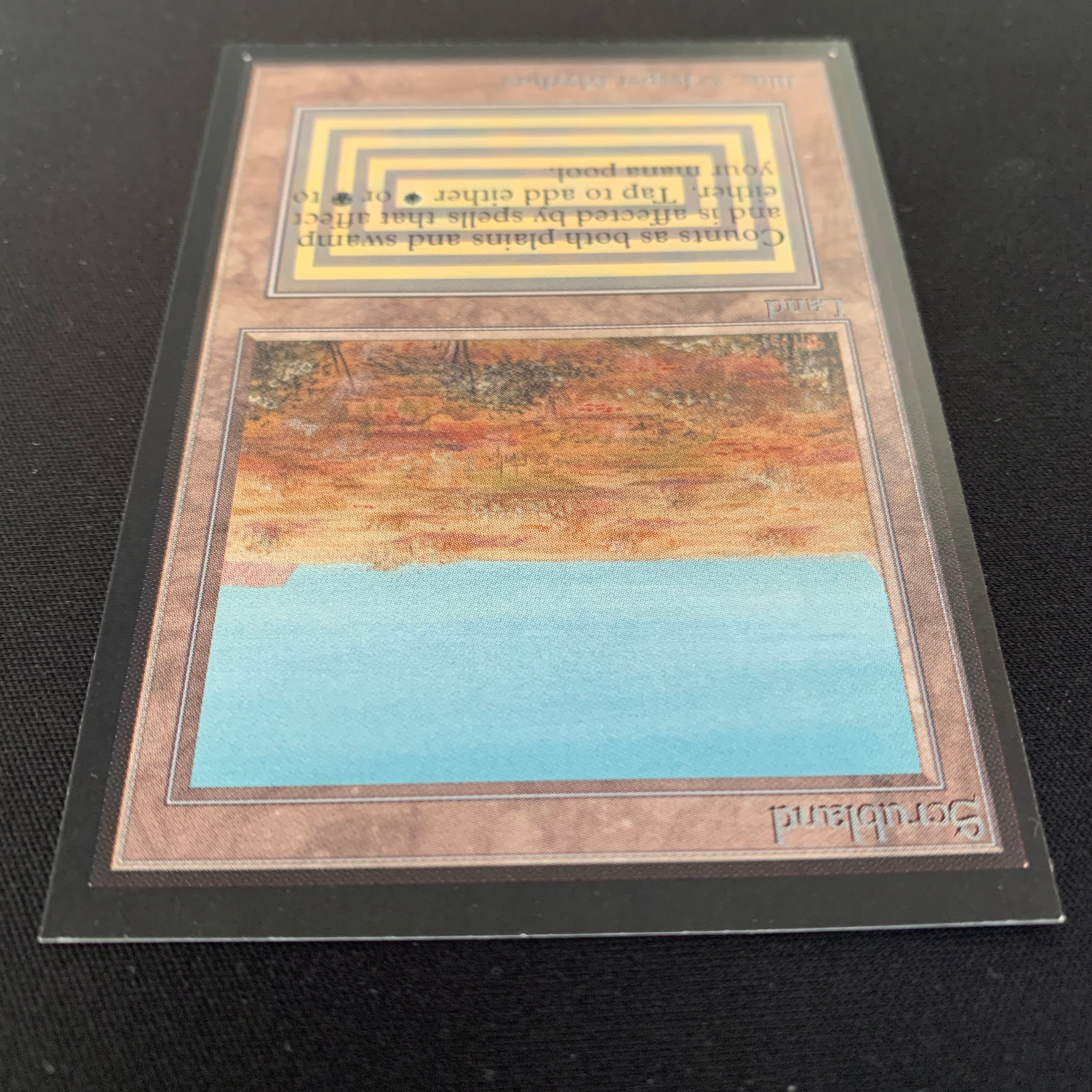 MTG Singles - Scrubland - International Edition -