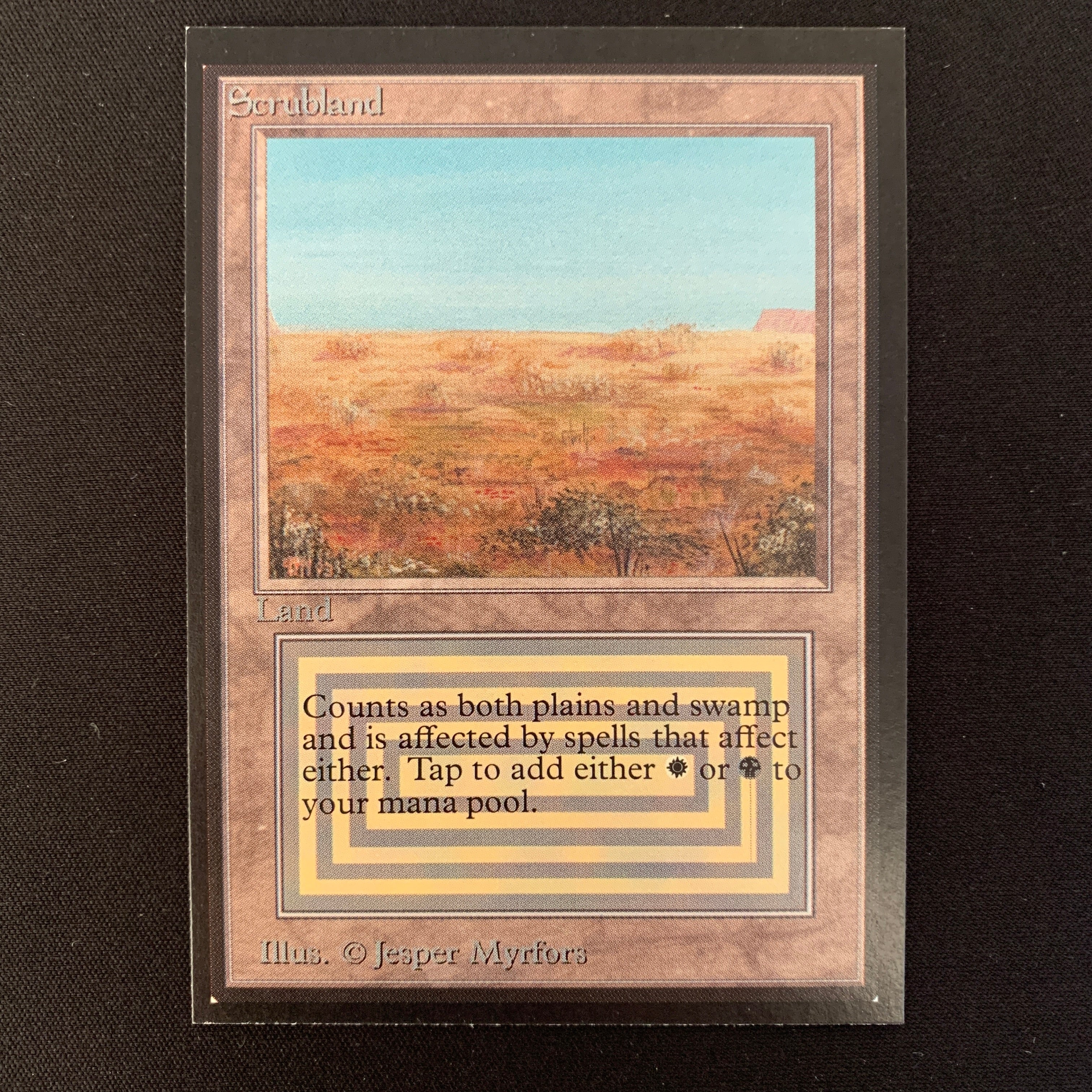 MTG Singles - Scrubland - International Edition -