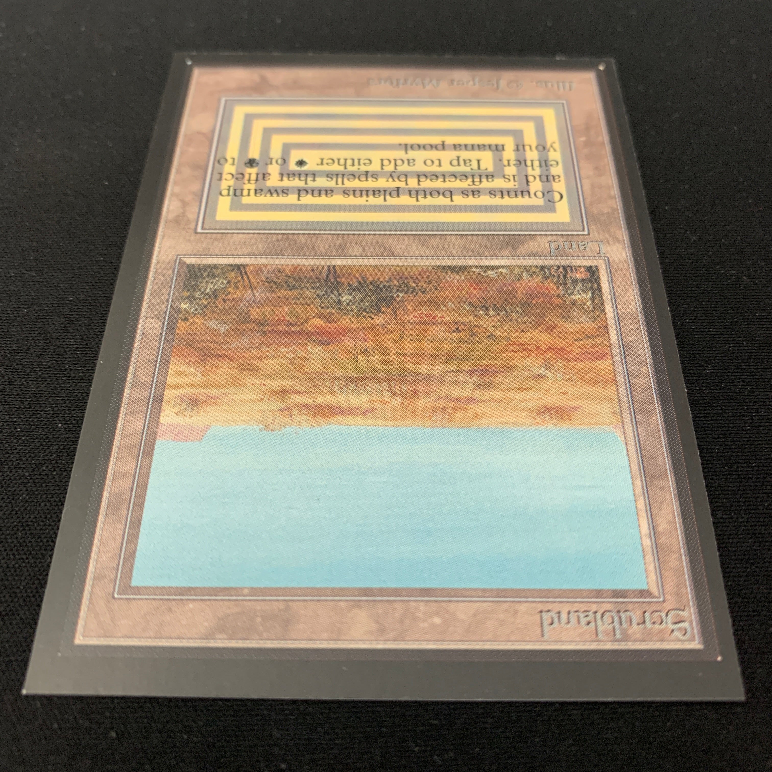 MTG Singles - Scrubland - International Edition -