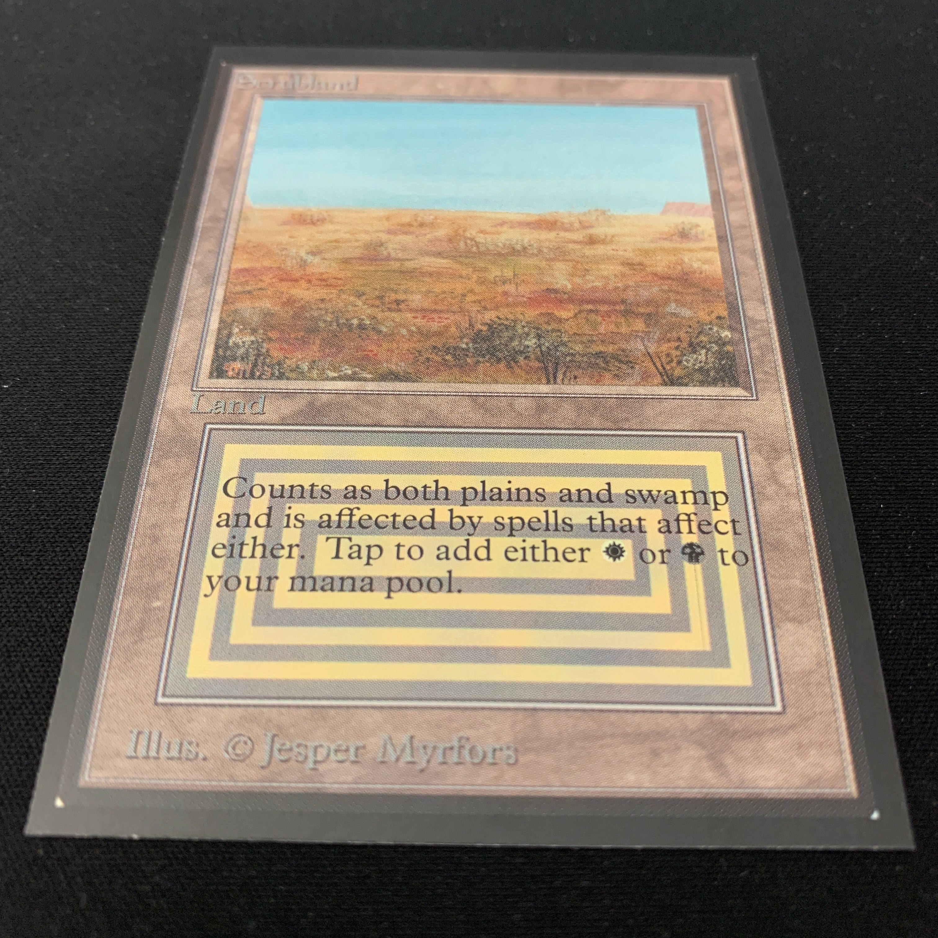 MTG Singles - Scrubland - International Edition -