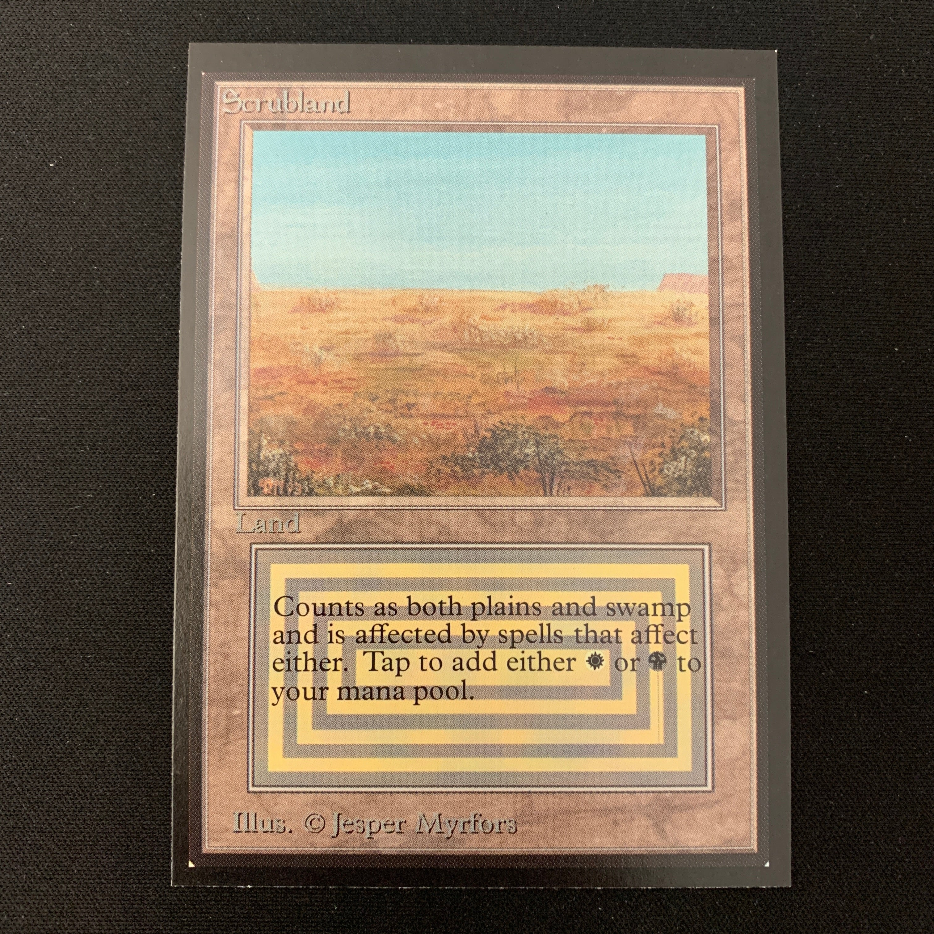 MTG Singles - Scrubland - International Edition -