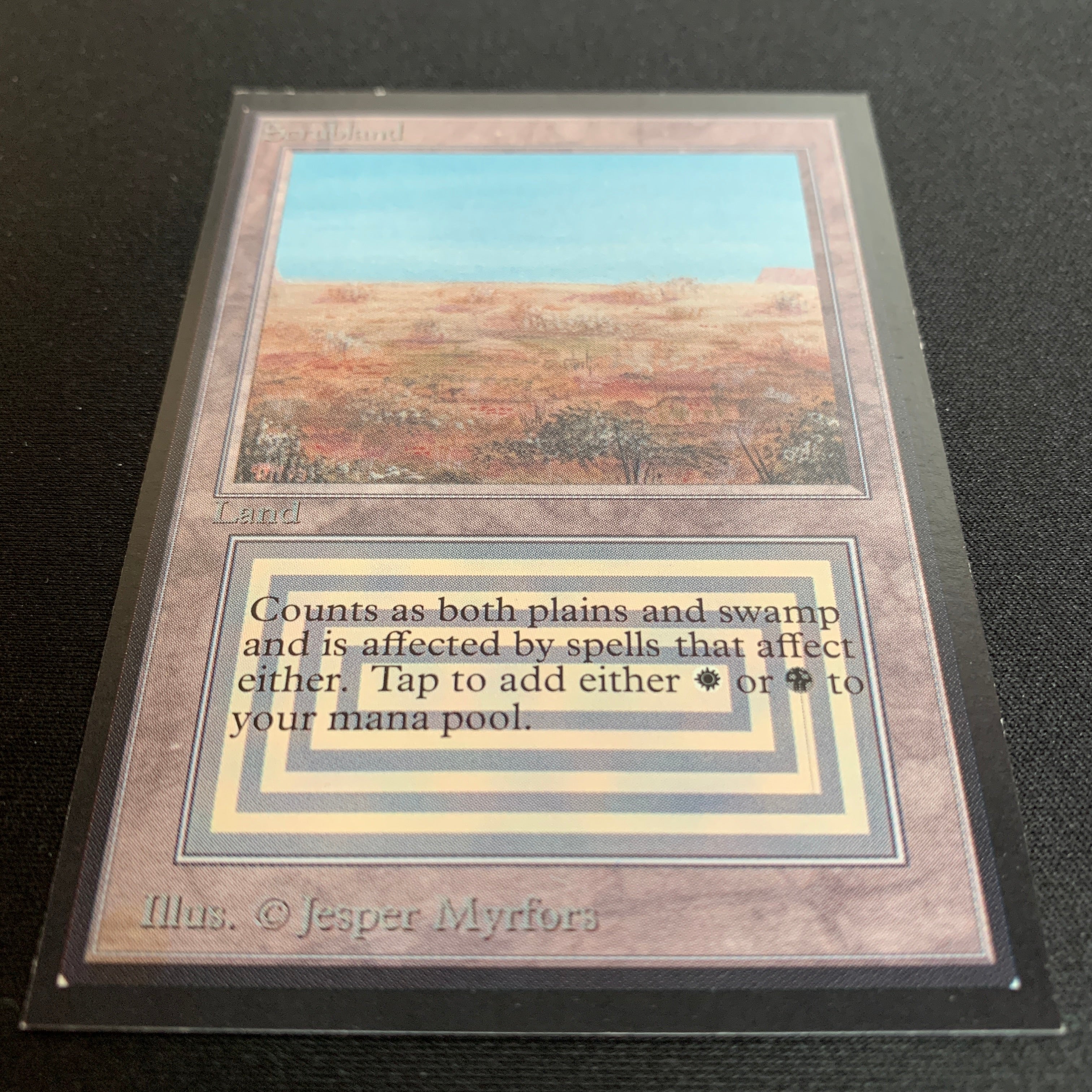 MTG Singles - Scrubland - International Edition -
