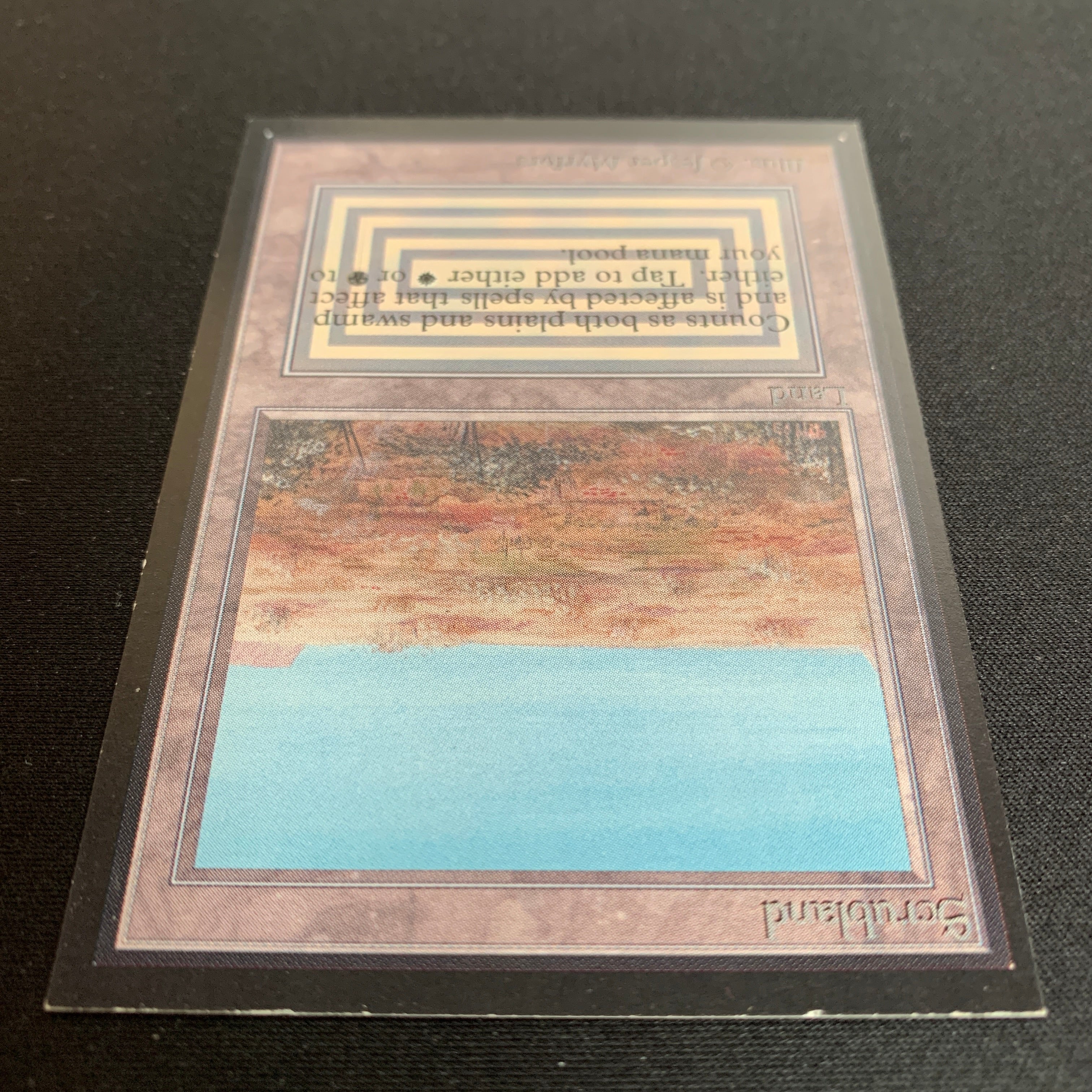MTG Singles - Scrubland - International Edition -