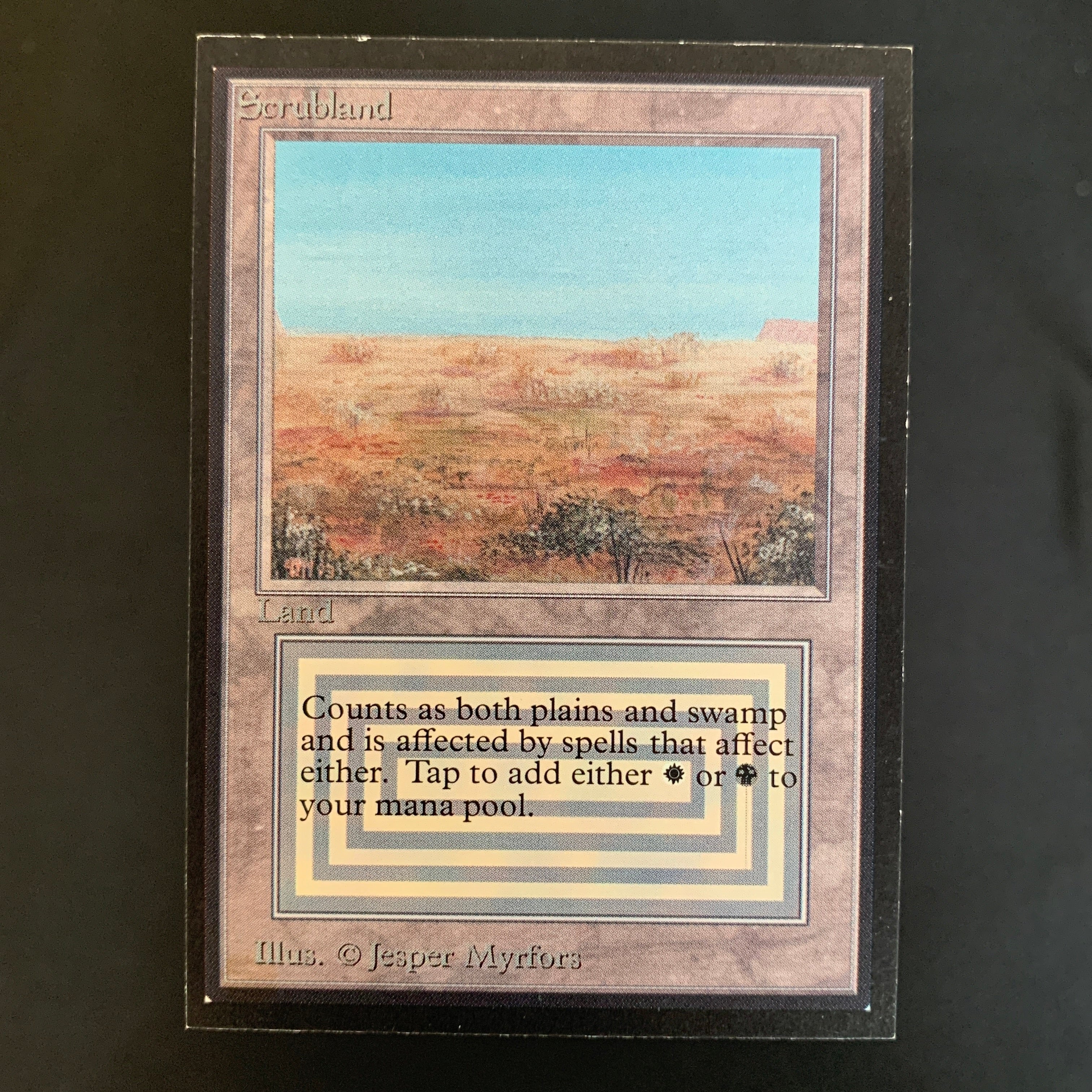 MTG Singles - Scrubland - International Edition -