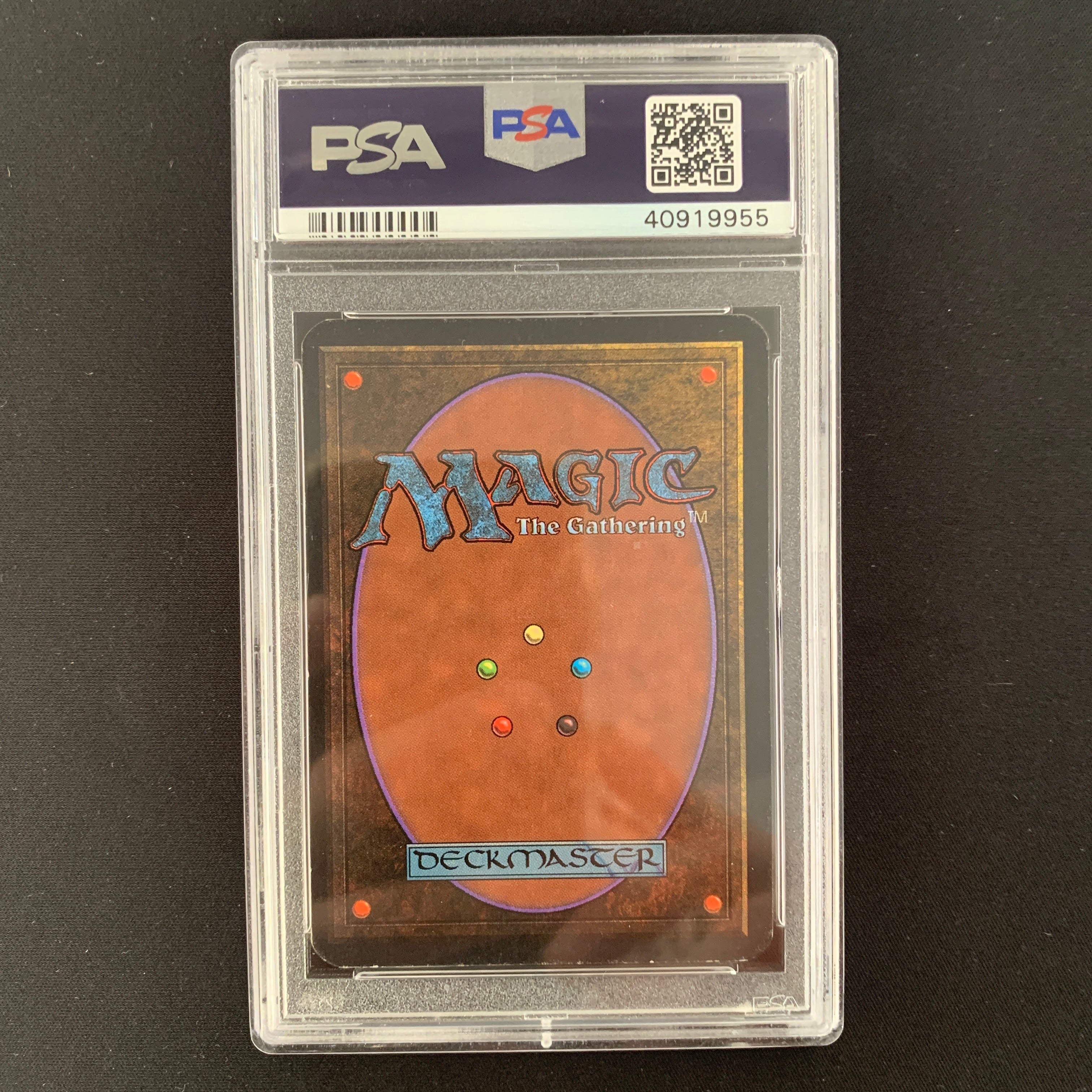 MTG Singles - Taiga - Alpha -