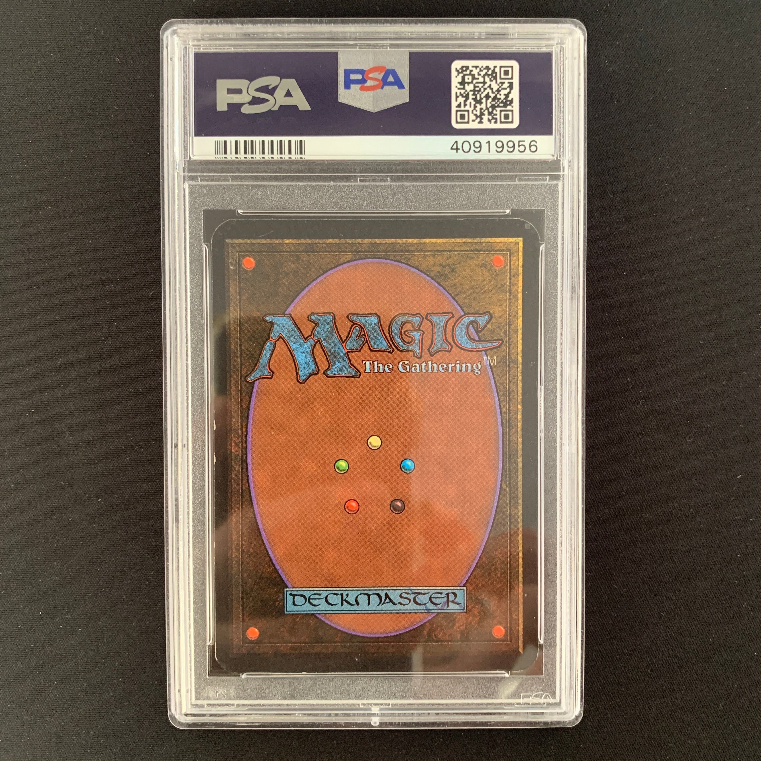 MTG Singles - Taiga - Alpha -