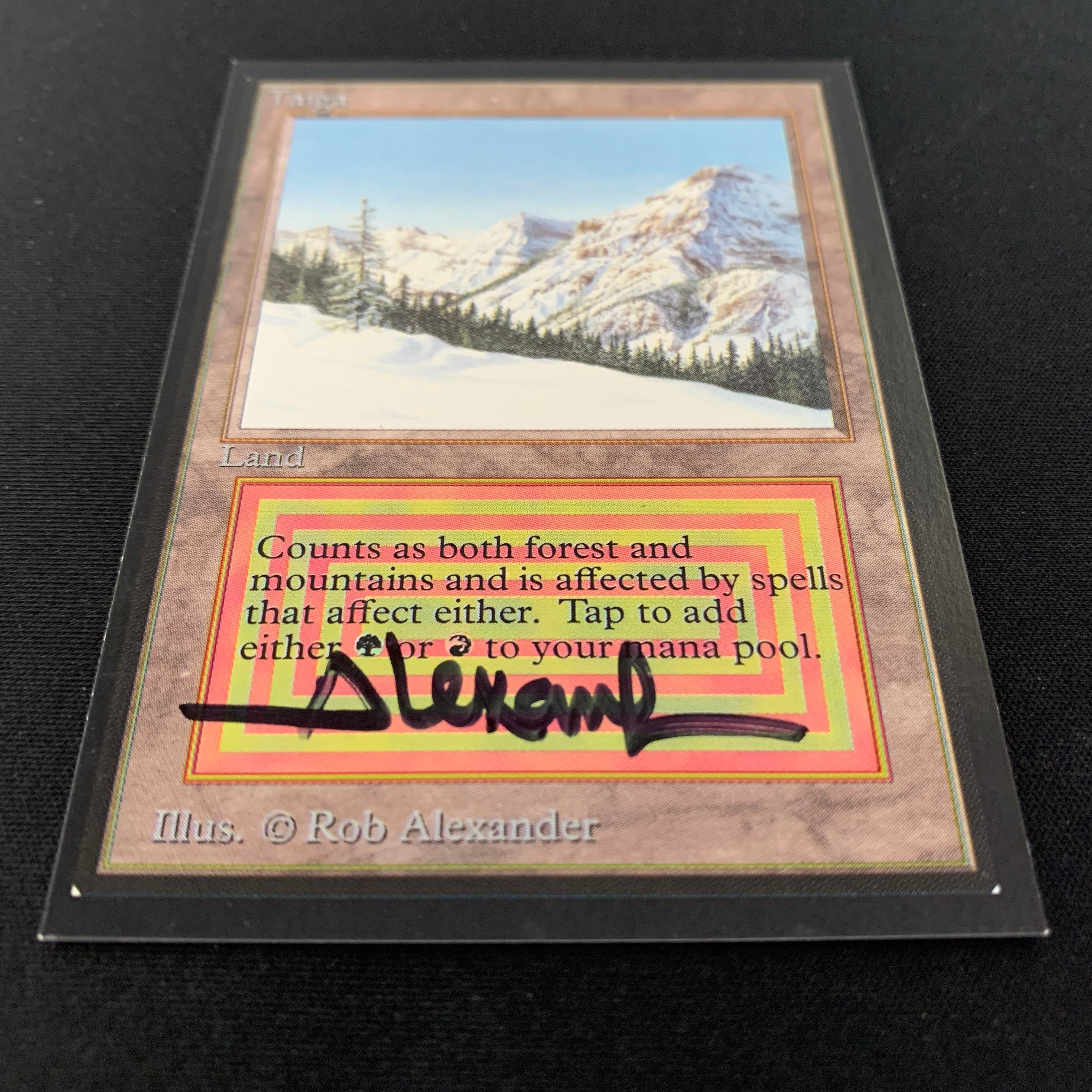 MTG Singles - Taiga - Collectors' Edition -