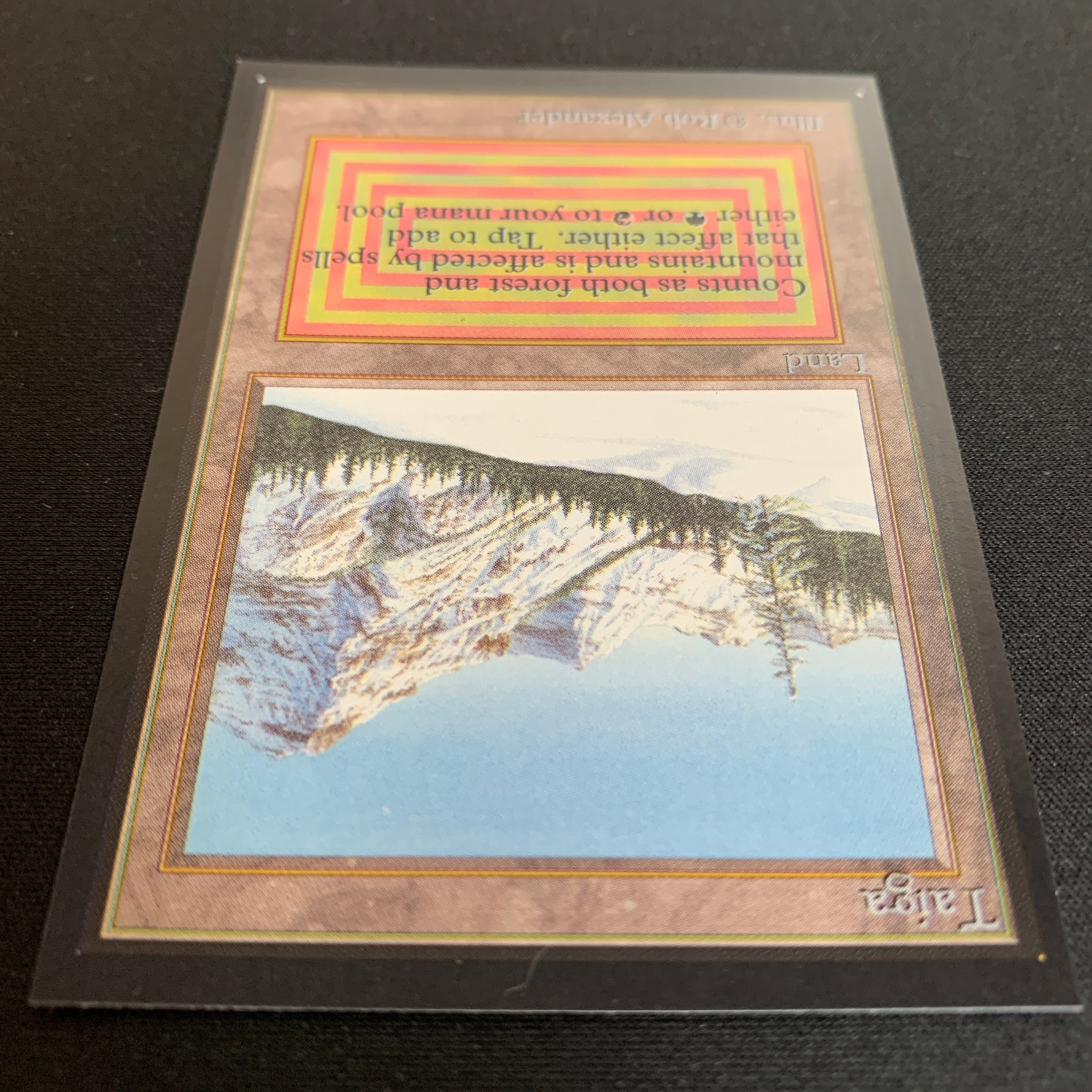 MTG Singles - Taiga - Collectors' Edition -