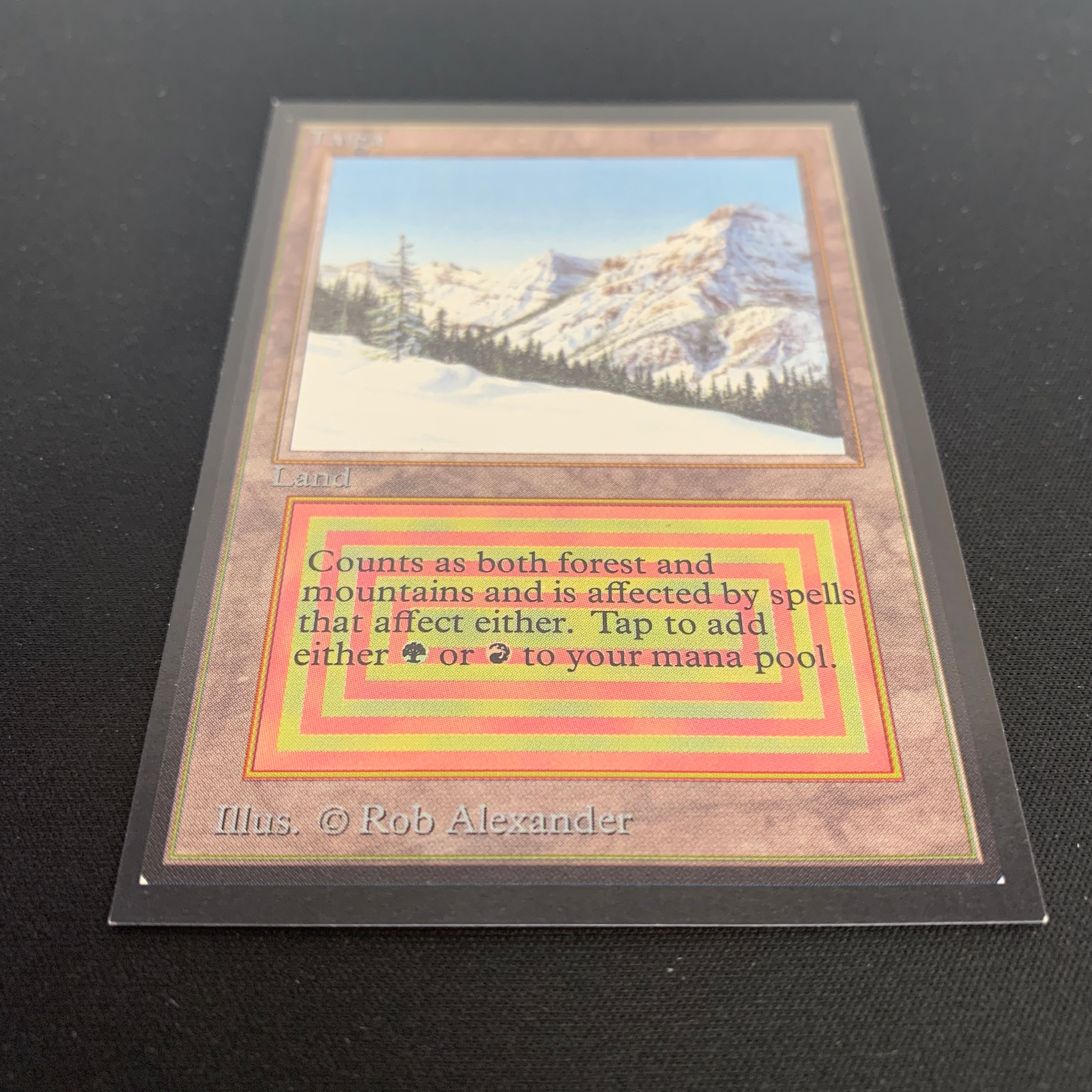 MTG Singles - Taiga - International Edition -