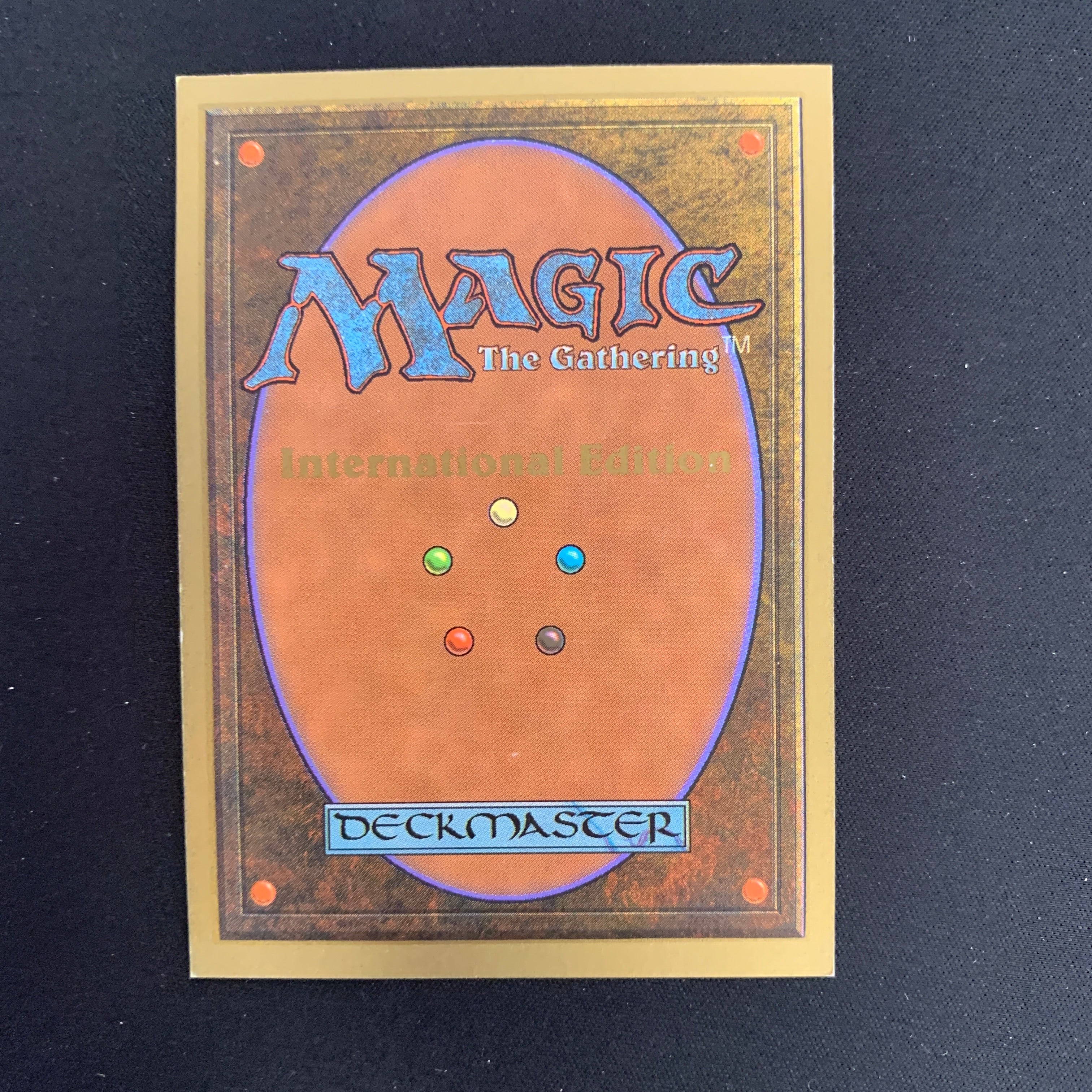 MTG Singles - Taiga - International Edition -