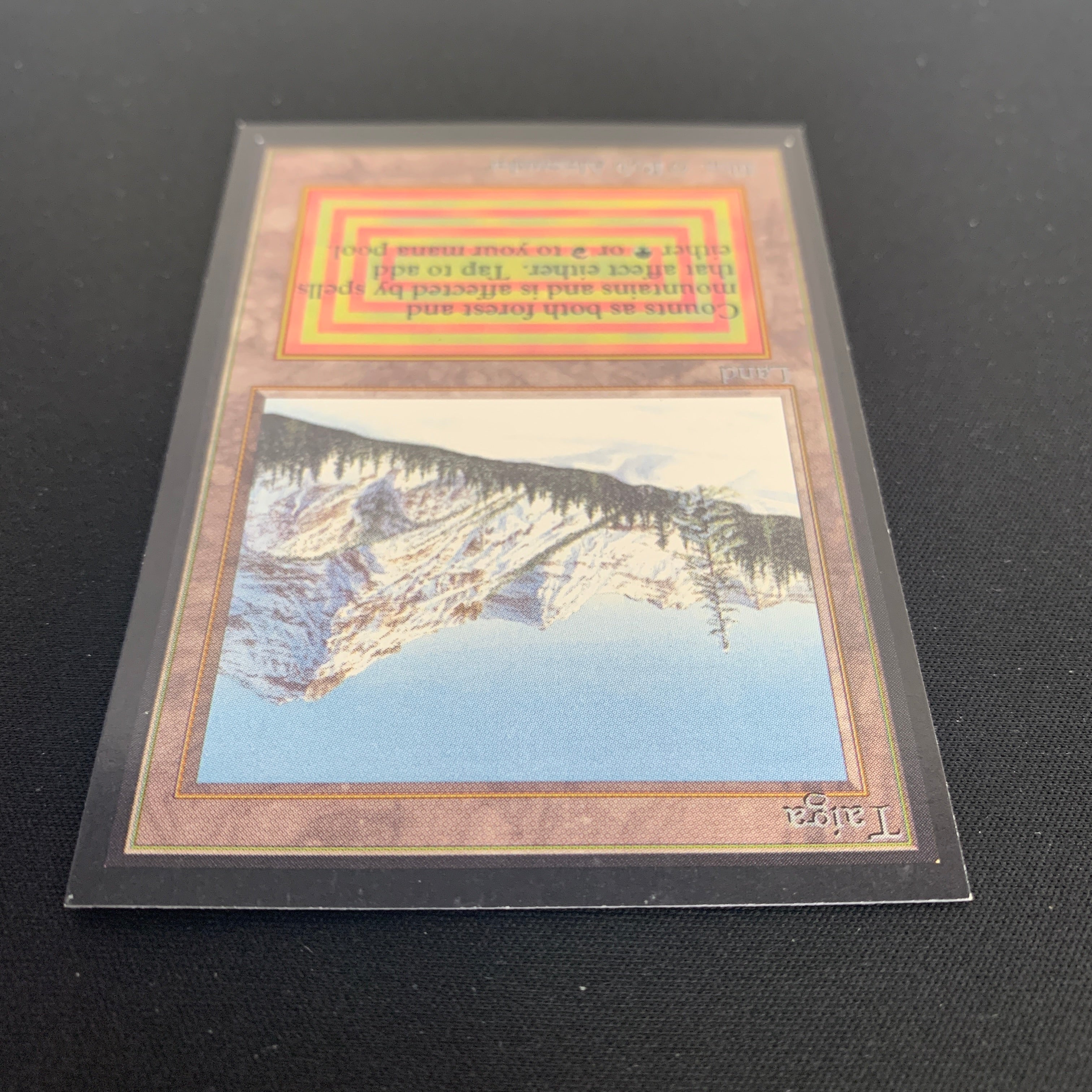 MTG Singles - Taiga - International Edition -