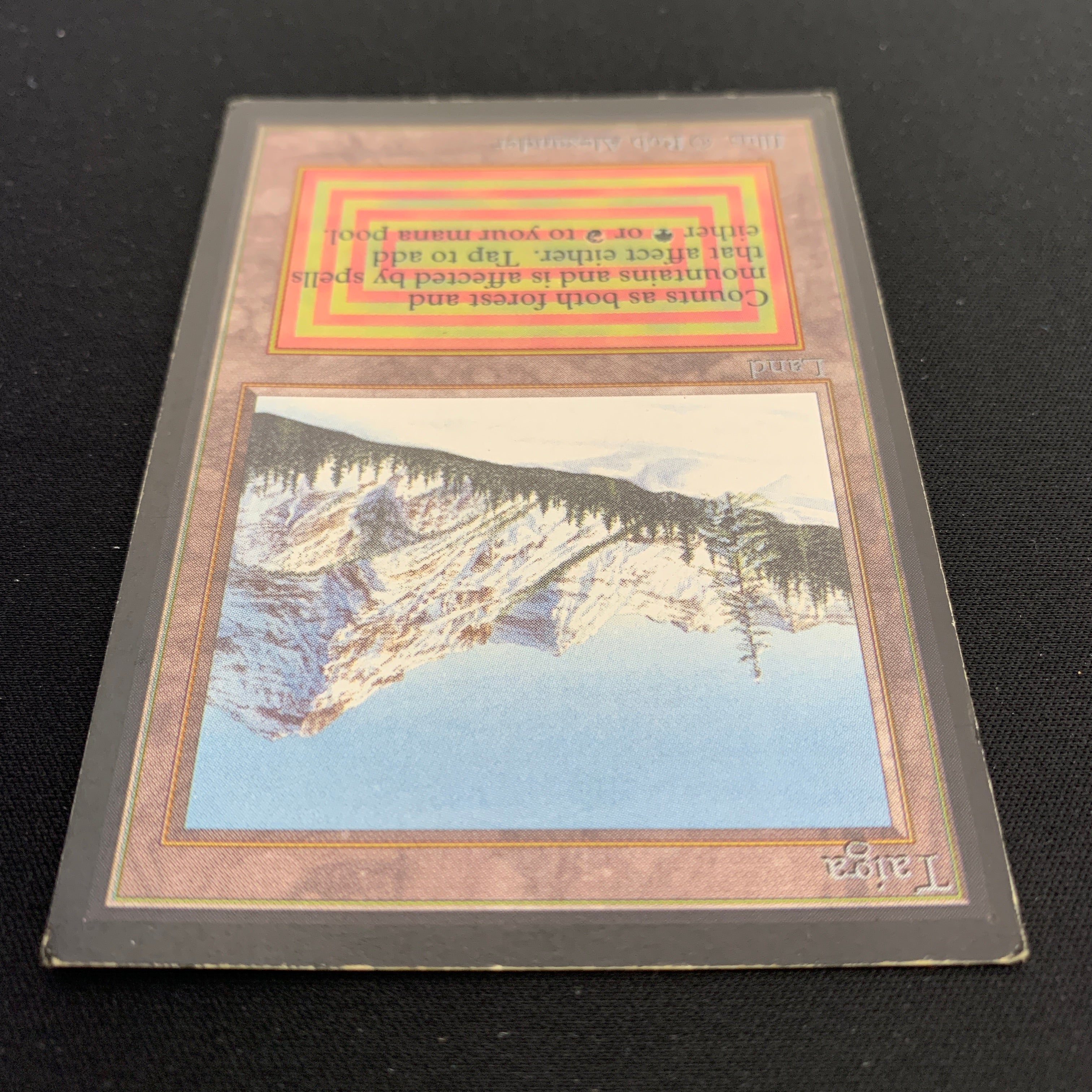 MTG Singles - Taiga - International Edition -