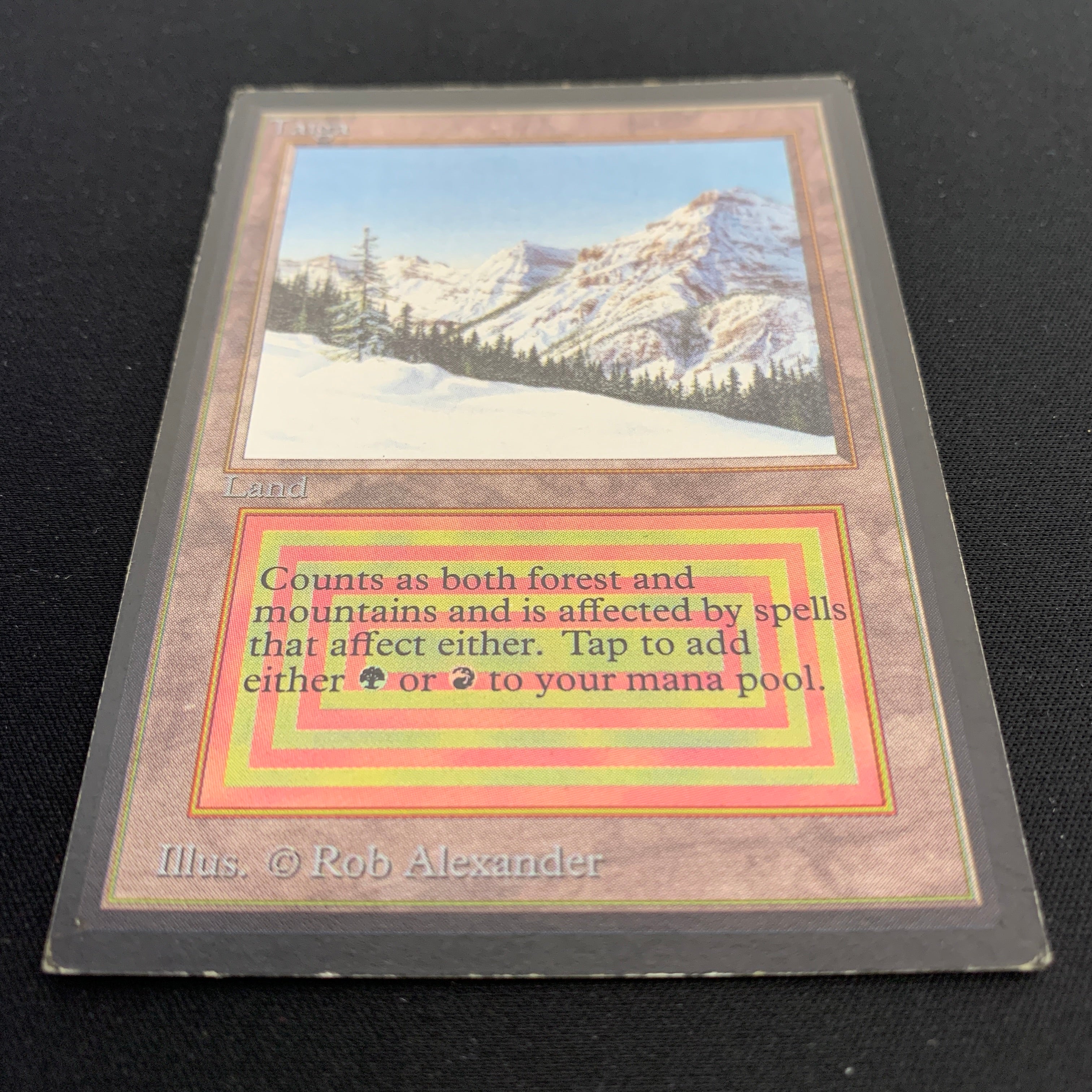 MTG Singles - Taiga - International Edition -